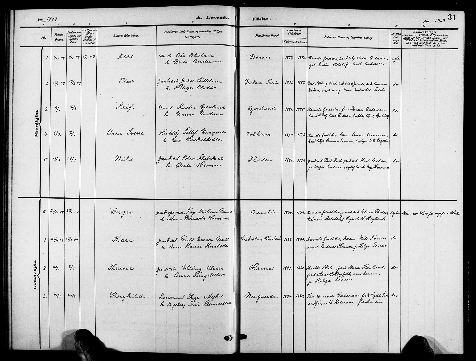 Åmli sokneprestkontor, SAK/1111-0050/F/Fb/Fbc/L0005: Parish register (copy) no. B 5, 1903-1916, p. 31
