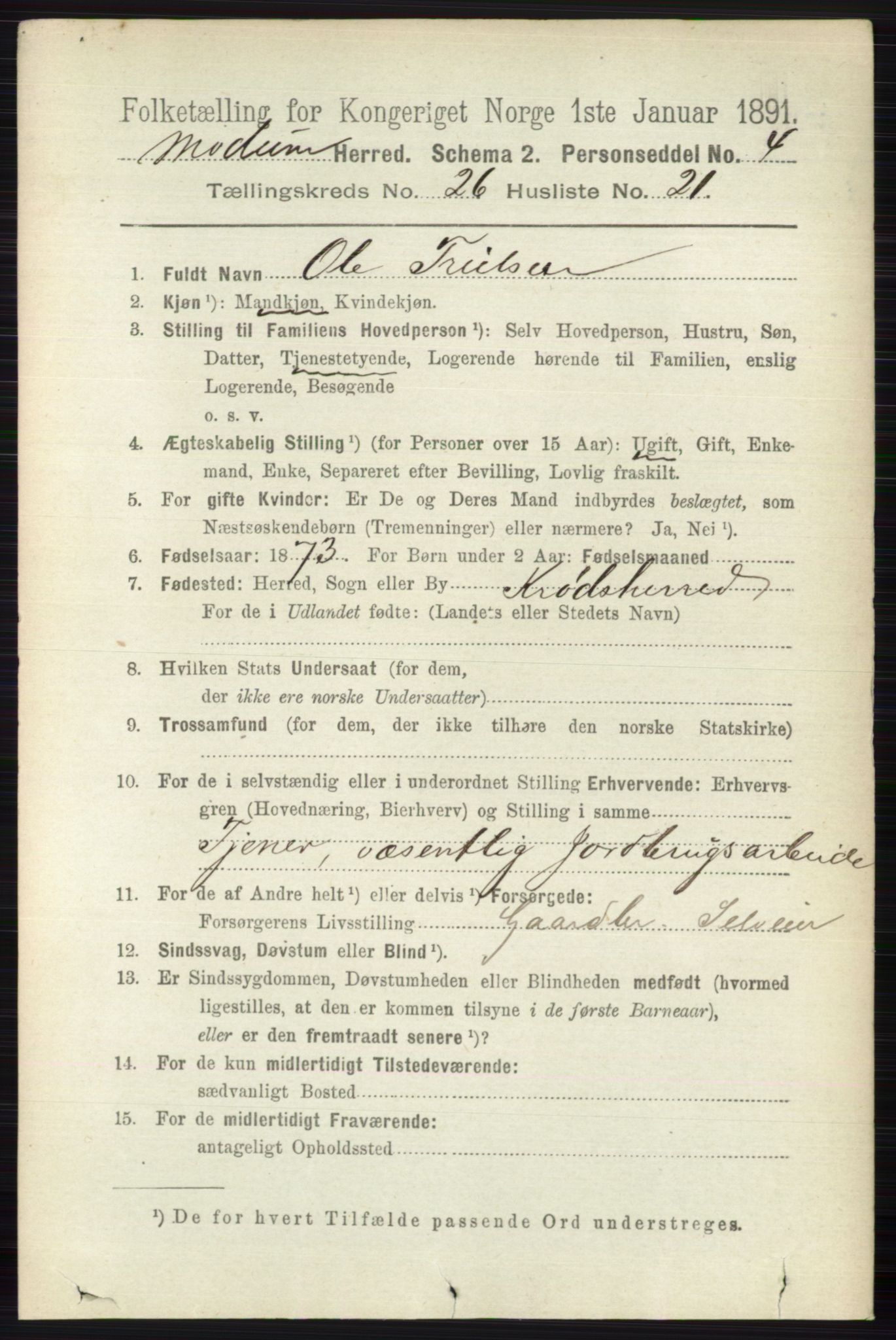RA, 1891 census for 0623 Modum, 1891, p. 9528