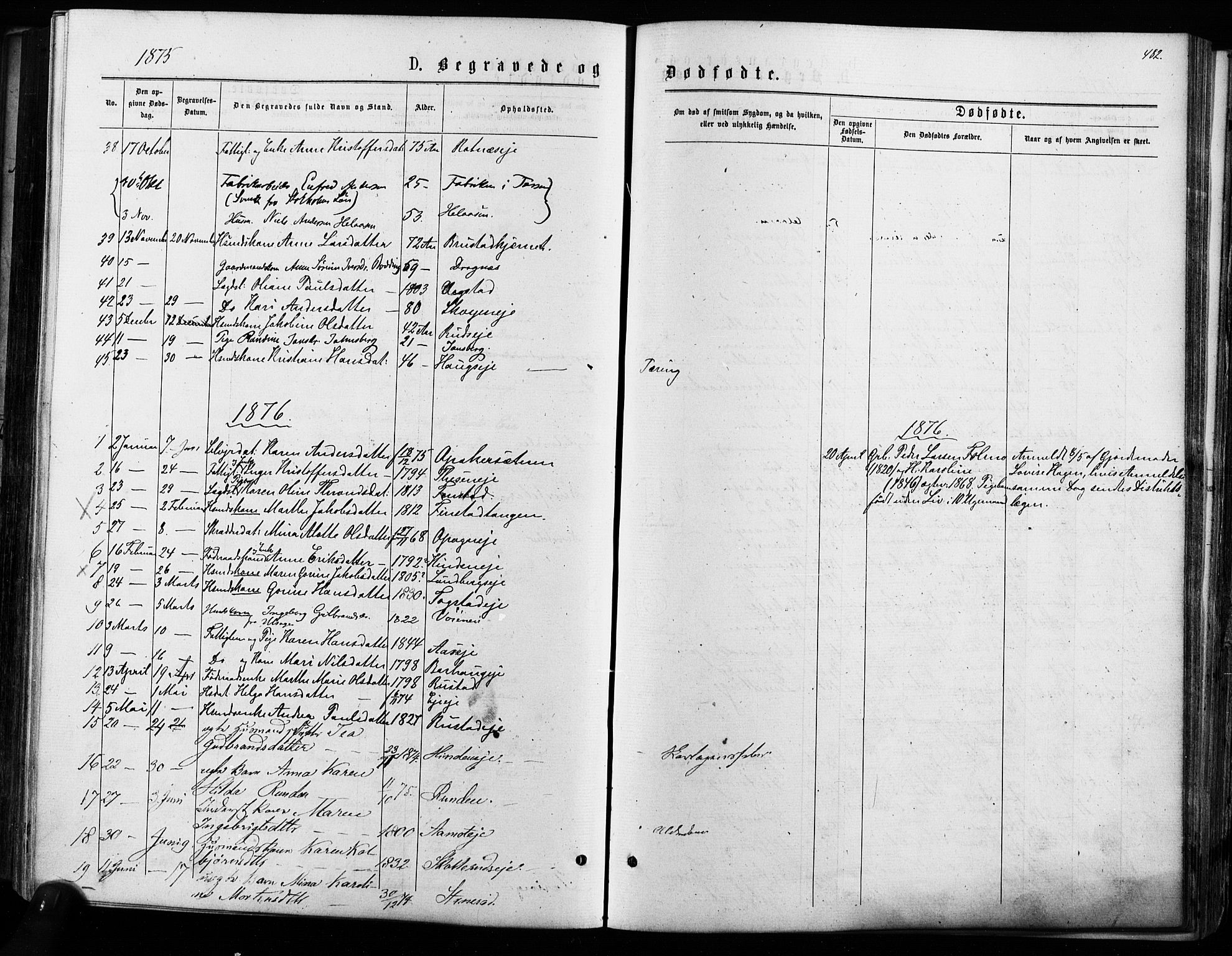 Nes prestekontor Kirkebøker, SAO/A-10410/F/Fa/L0009: Parish register (official) no. I 9, 1875-1882, p. 482