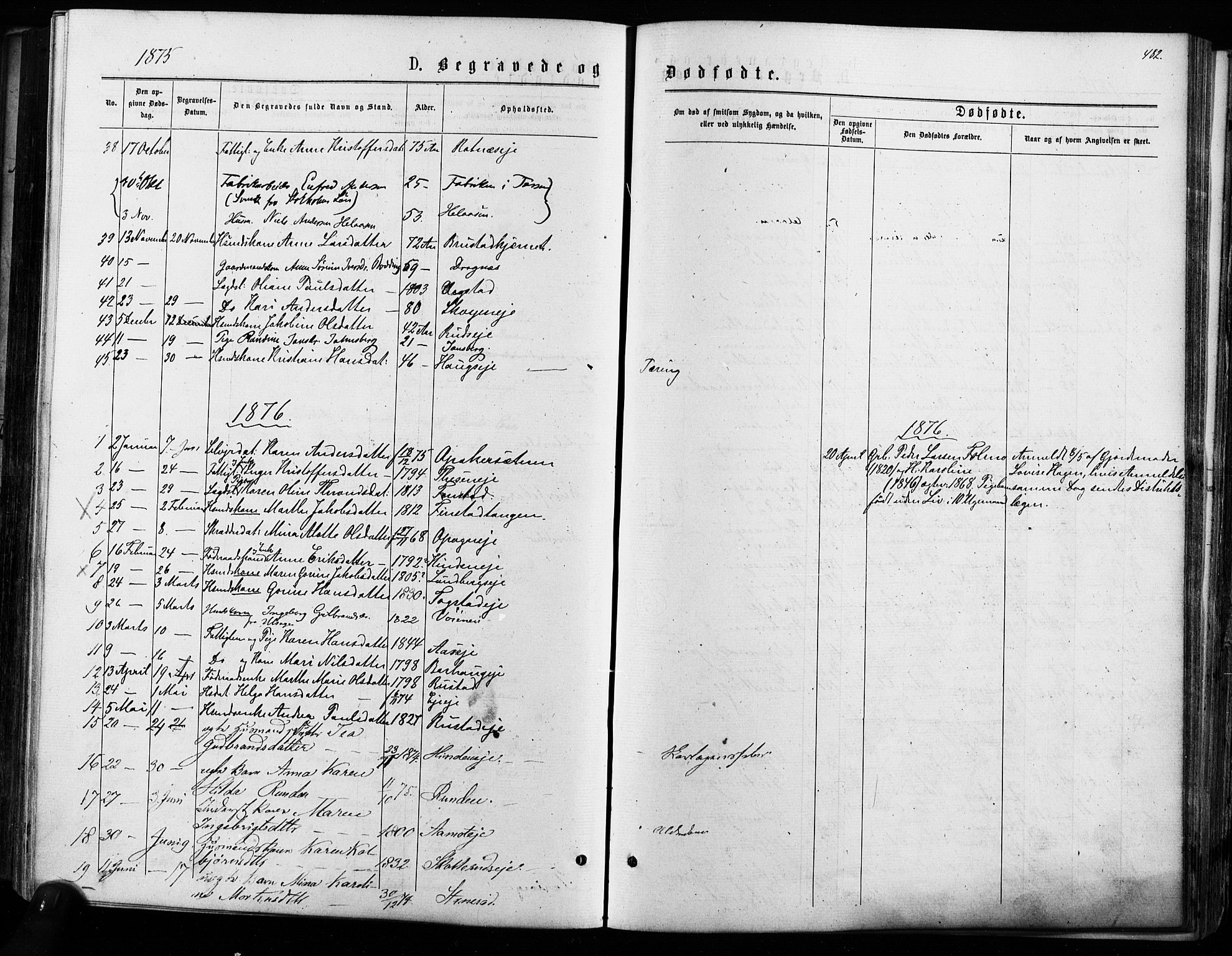 Nes prestekontor Kirkebøker, AV/SAO-A-10410/F/Fa/L0009: Parish register (official) no. I 9, 1875-1882, p. 482