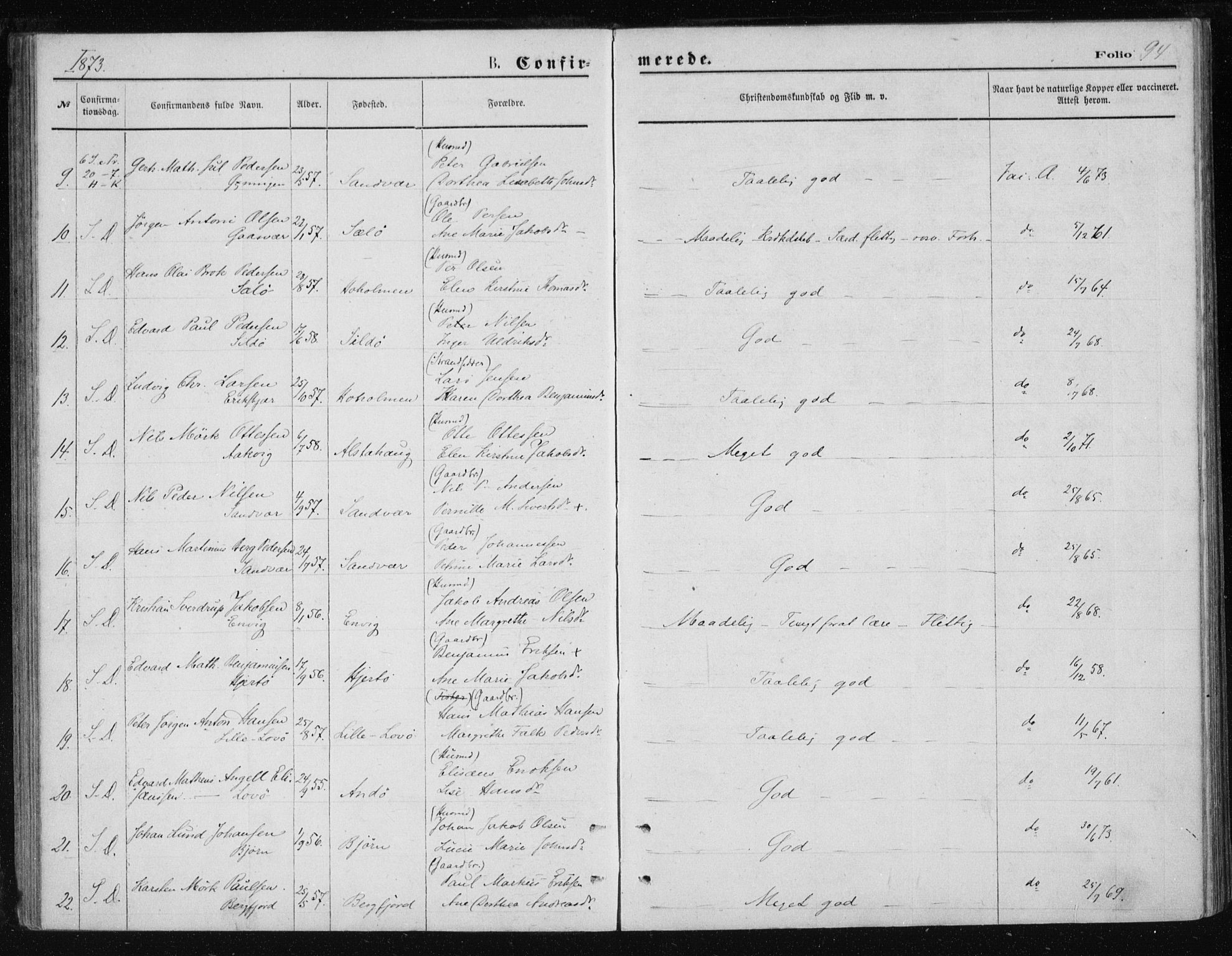 Ministerialprotokoller, klokkerbøker og fødselsregistre - Nordland, AV/SAT-A-1459/834/L0506: Parish register (official) no. 834A04, 1872-1878, p. 94