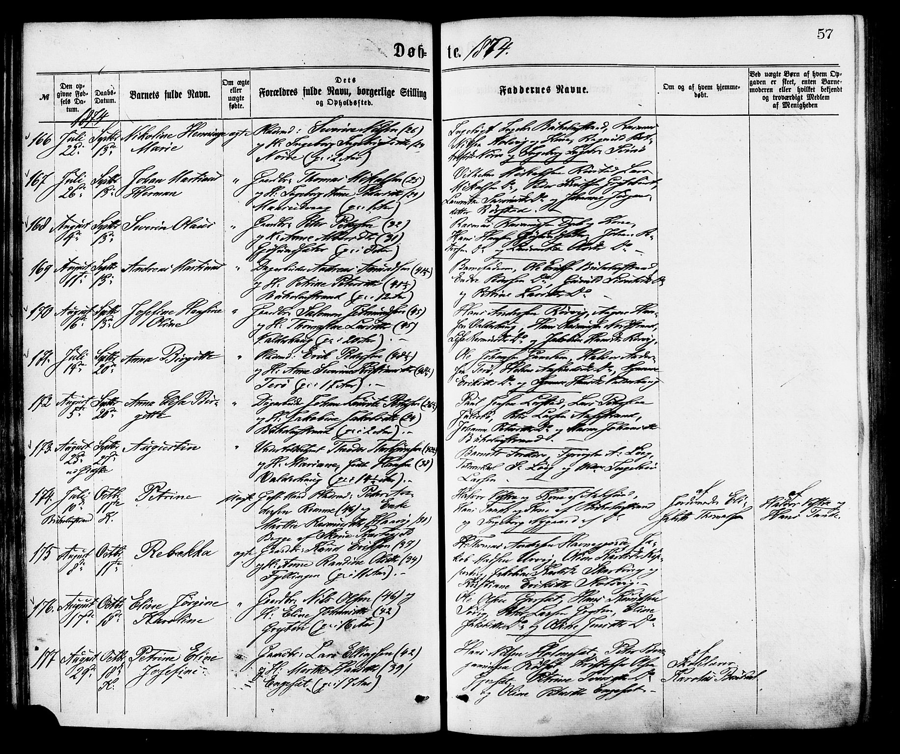 Ministerialprotokoller, klokkerbøker og fødselsregistre - Møre og Romsdal, AV/SAT-A-1454/528/L0400: Parish register (official) no. 528A11, 1871-1879, p. 57