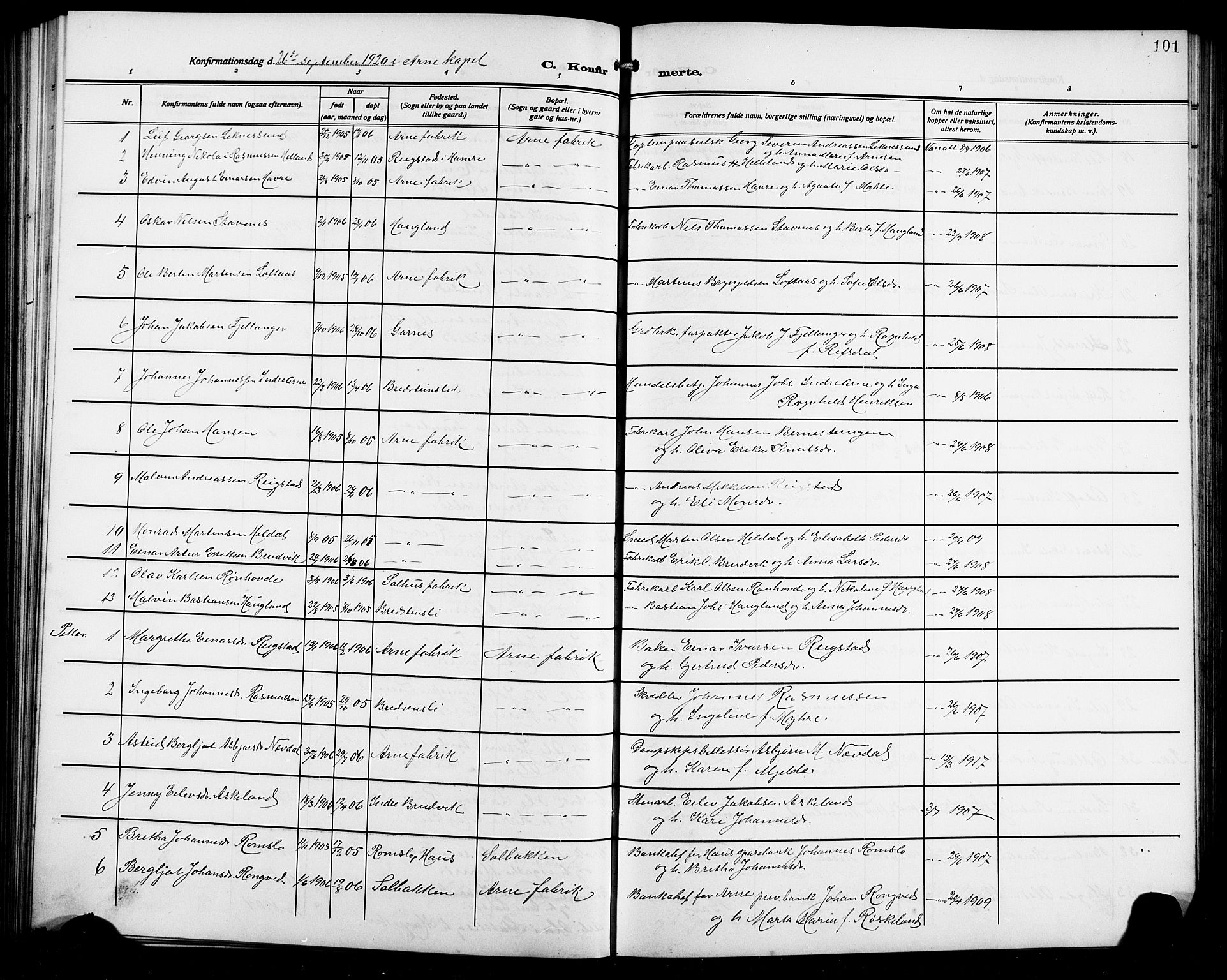 Arna Sokneprestembete, AV/SAB-A-74001/H/Ha/Hab: Parish register (copy) no. A 5, 1911-1921, p. 101