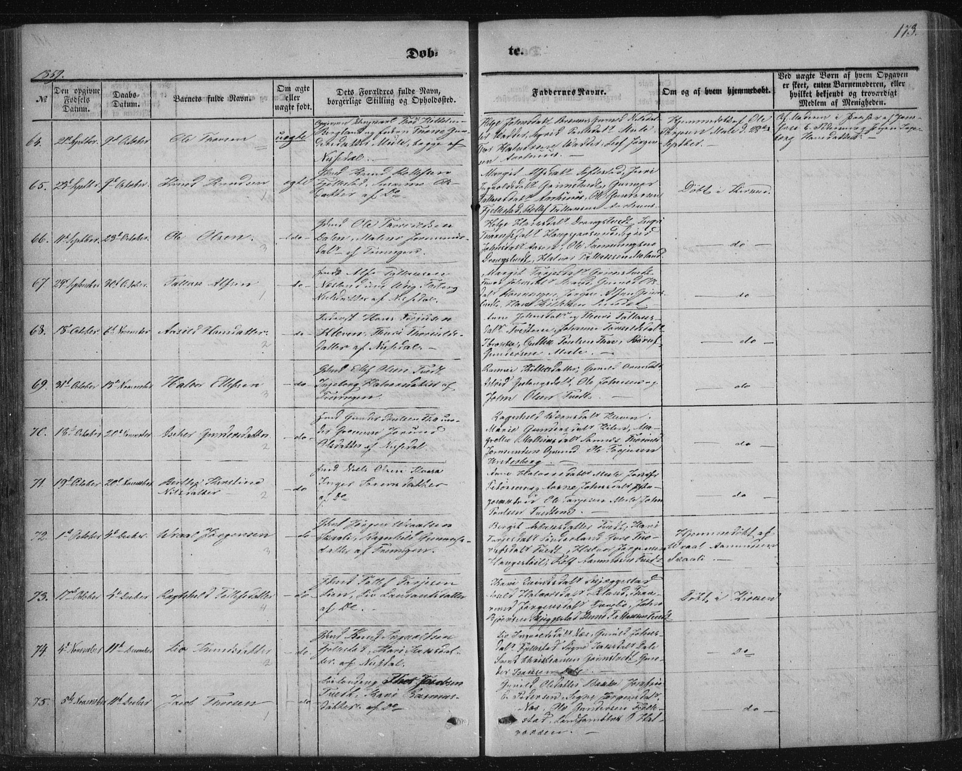 Nissedal kirkebøker, SAKO/A-288/F/Fa/L0003: Parish register (official) no. I 3, 1846-1870, p. 172-173