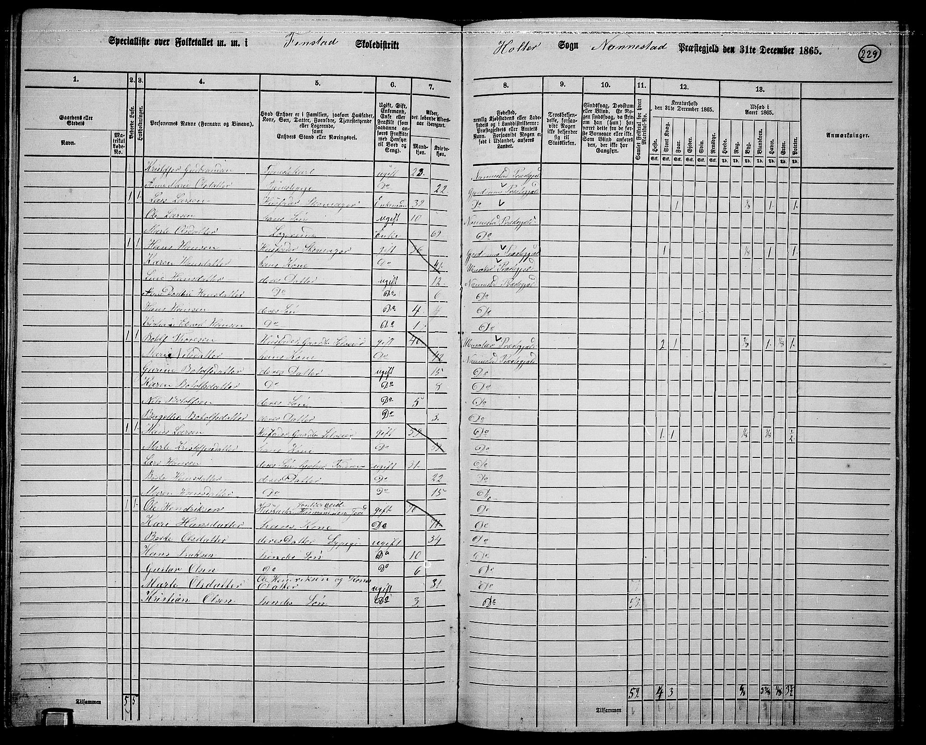 RA, 1865 census for Nannestad, 1865, p. 106