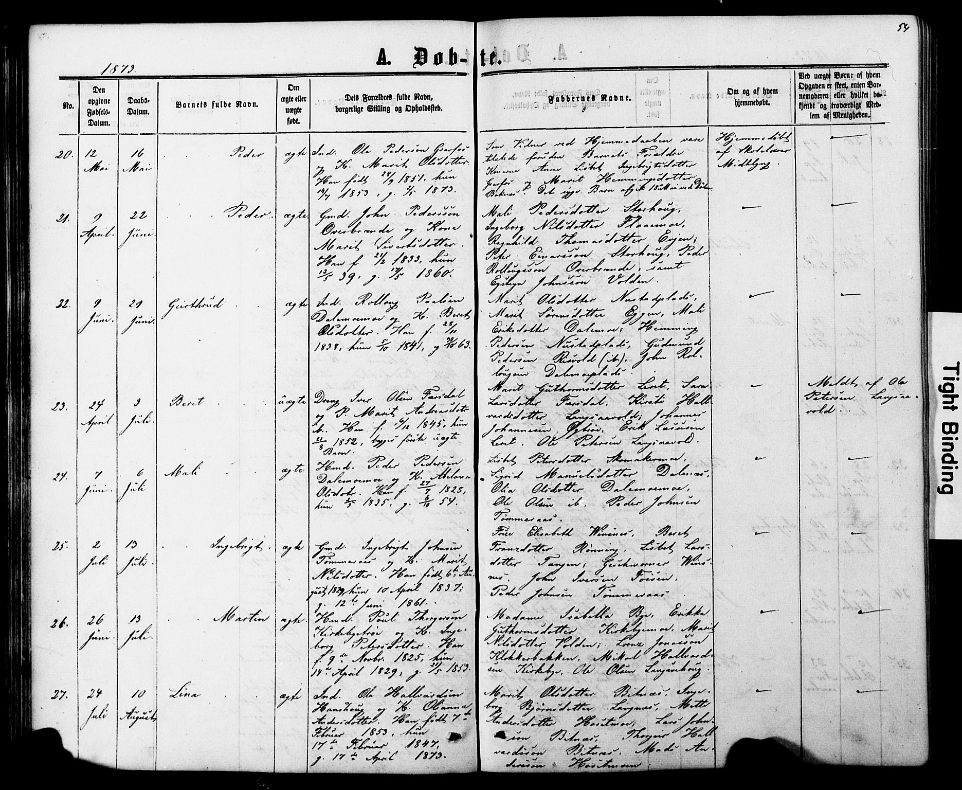 Ministerialprotokoller, klokkerbøker og fødselsregistre - Nord-Trøndelag, SAT/A-1458/706/L0049: Parish register (copy) no. 706C01, 1864-1895, p. 54