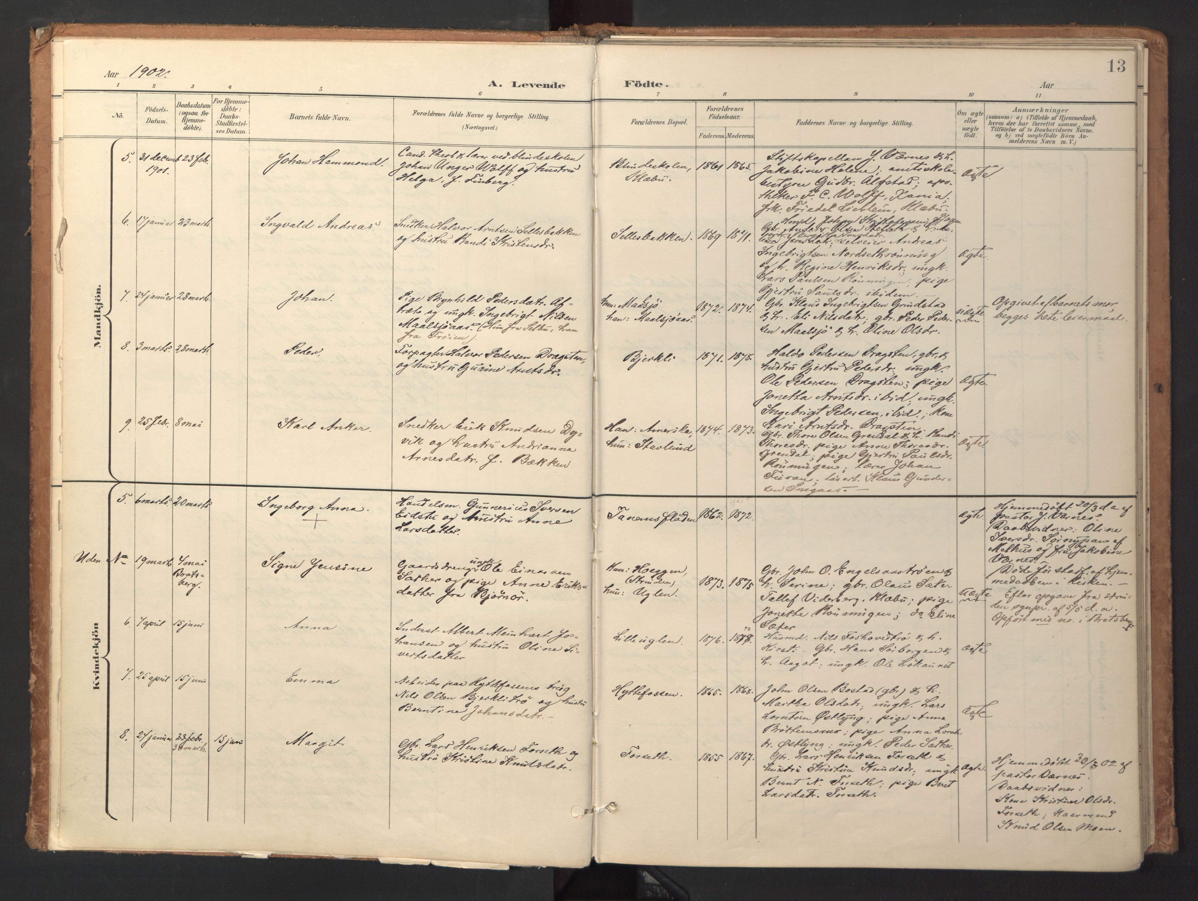 Ministerialprotokoller, klokkerbøker og fødselsregistre - Sør-Trøndelag, SAT/A-1456/618/L0448: Parish register (official) no. 618A11, 1898-1916, p. 13