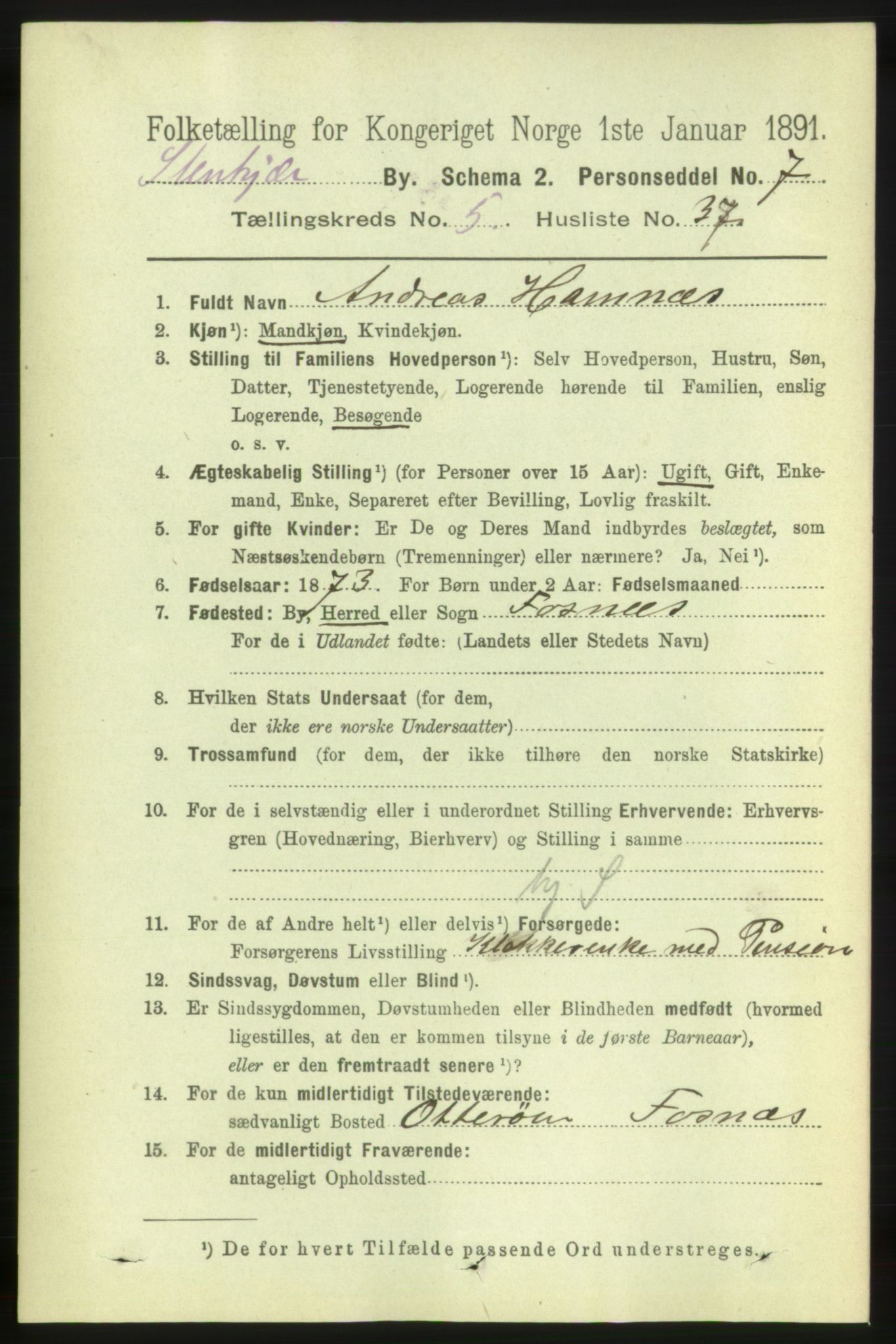 RA, 1891 census for 1702 Steinkjer, 1891, p. 2089