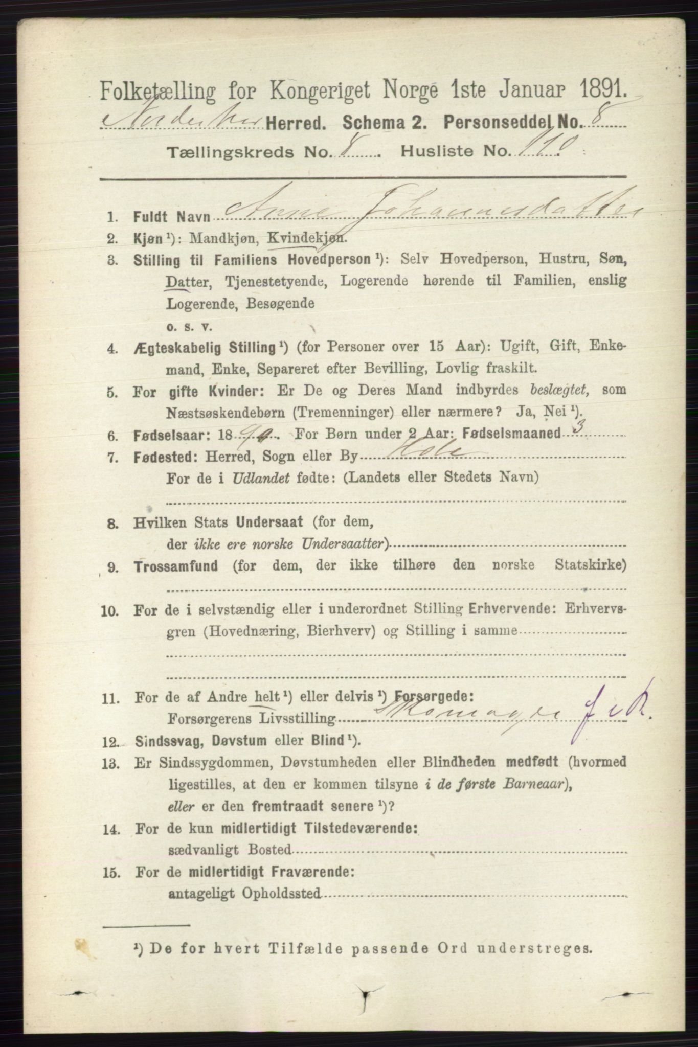 RA, 1891 census for 0613 Norderhov, 1891, p. 6181