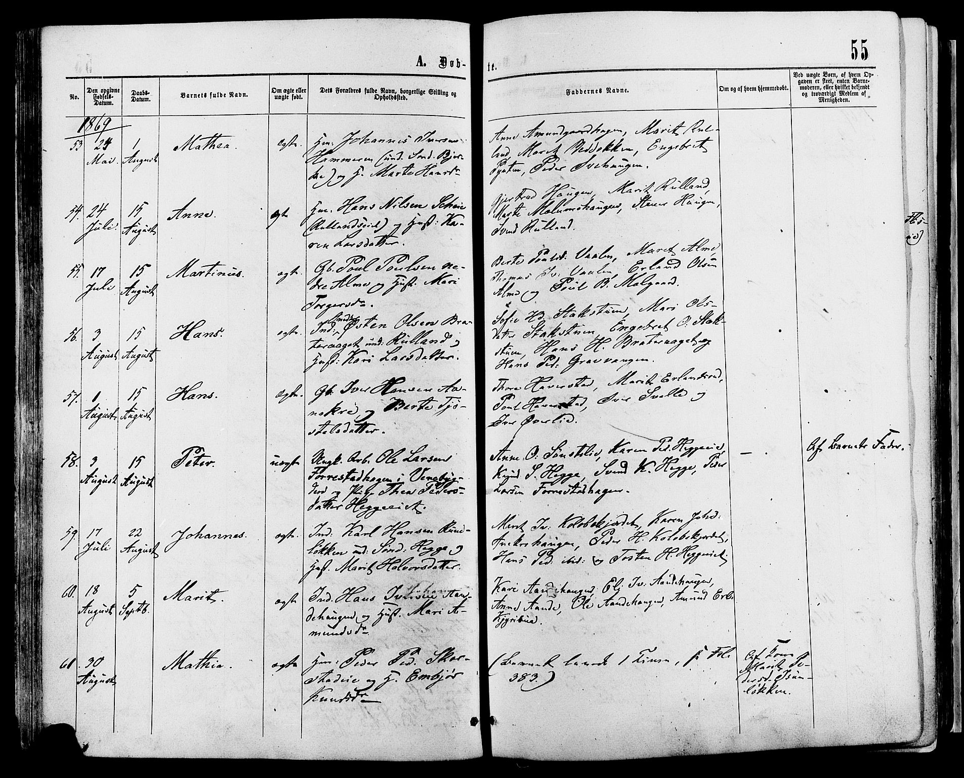 Sør-Fron prestekontor, AV/SAH-PREST-010/H/Ha/Haa/L0002: Parish register (official) no. 2, 1864-1880, p. 55