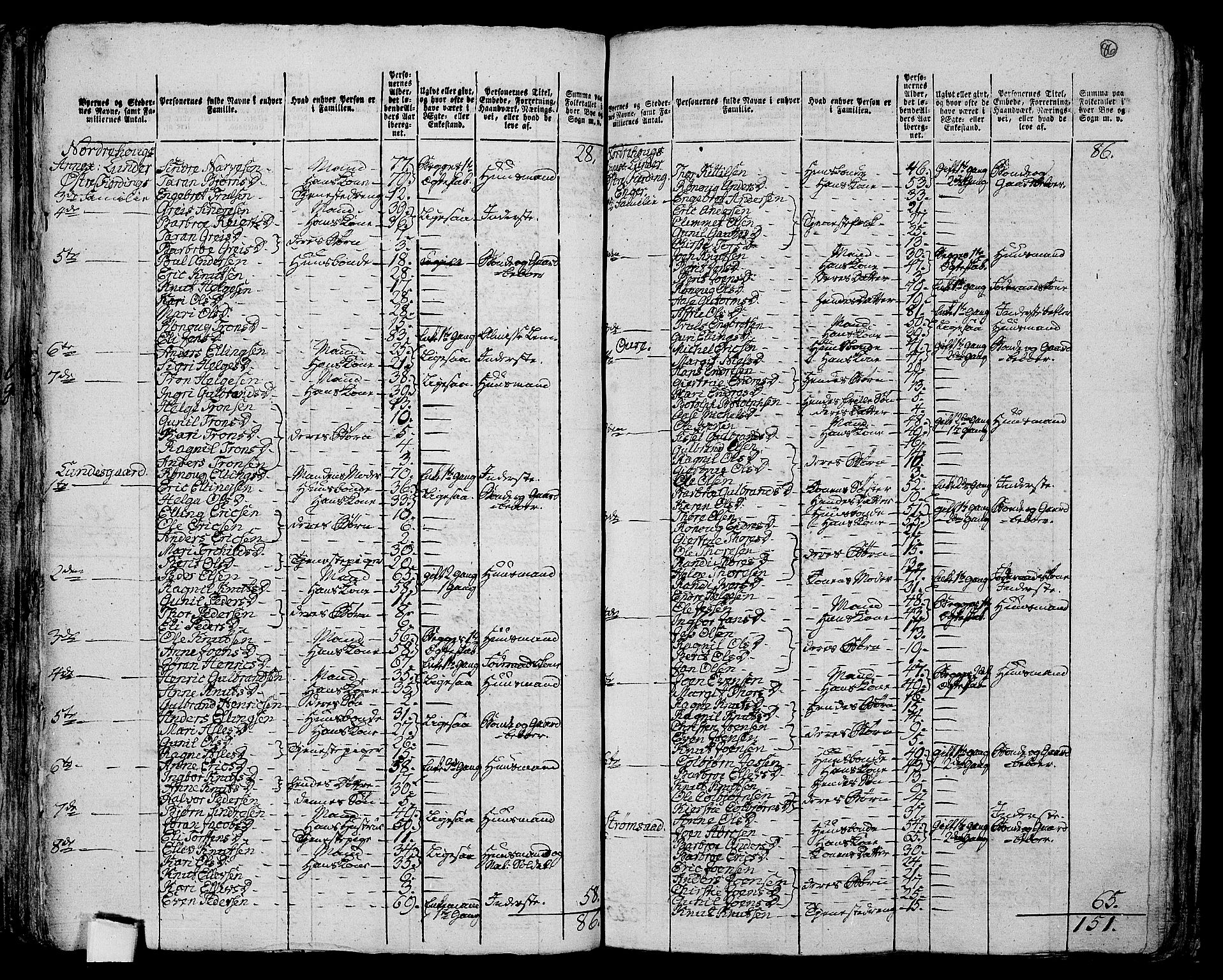 RA, 1801 census for 0613P Norderhov, 1801, p. 85b-86a