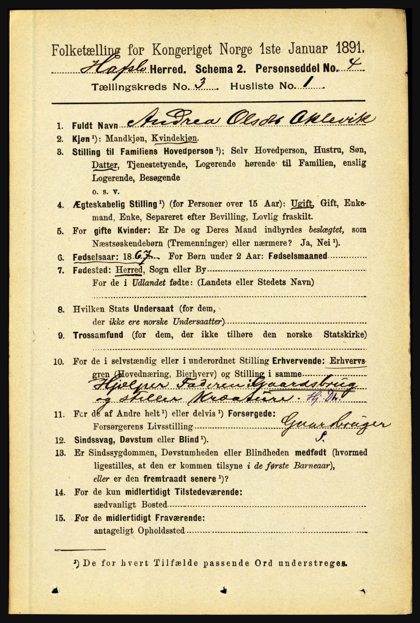 RA, 1891 census for 1425 Hafslo, 1891, p. 985