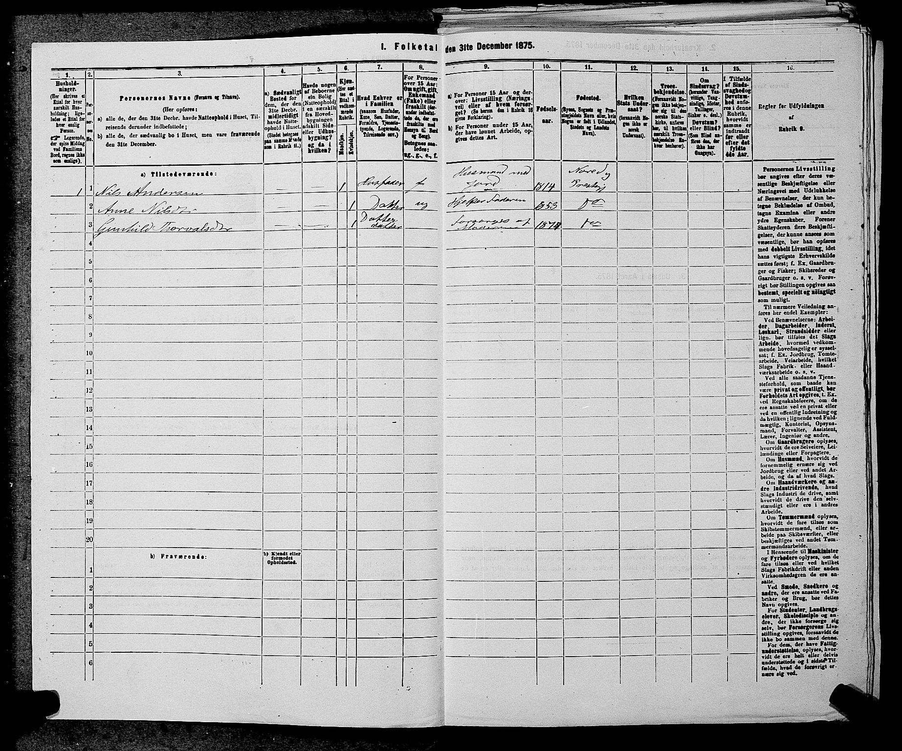 SAKO, 1875 census for 0633P Nore, 1875, p. 858