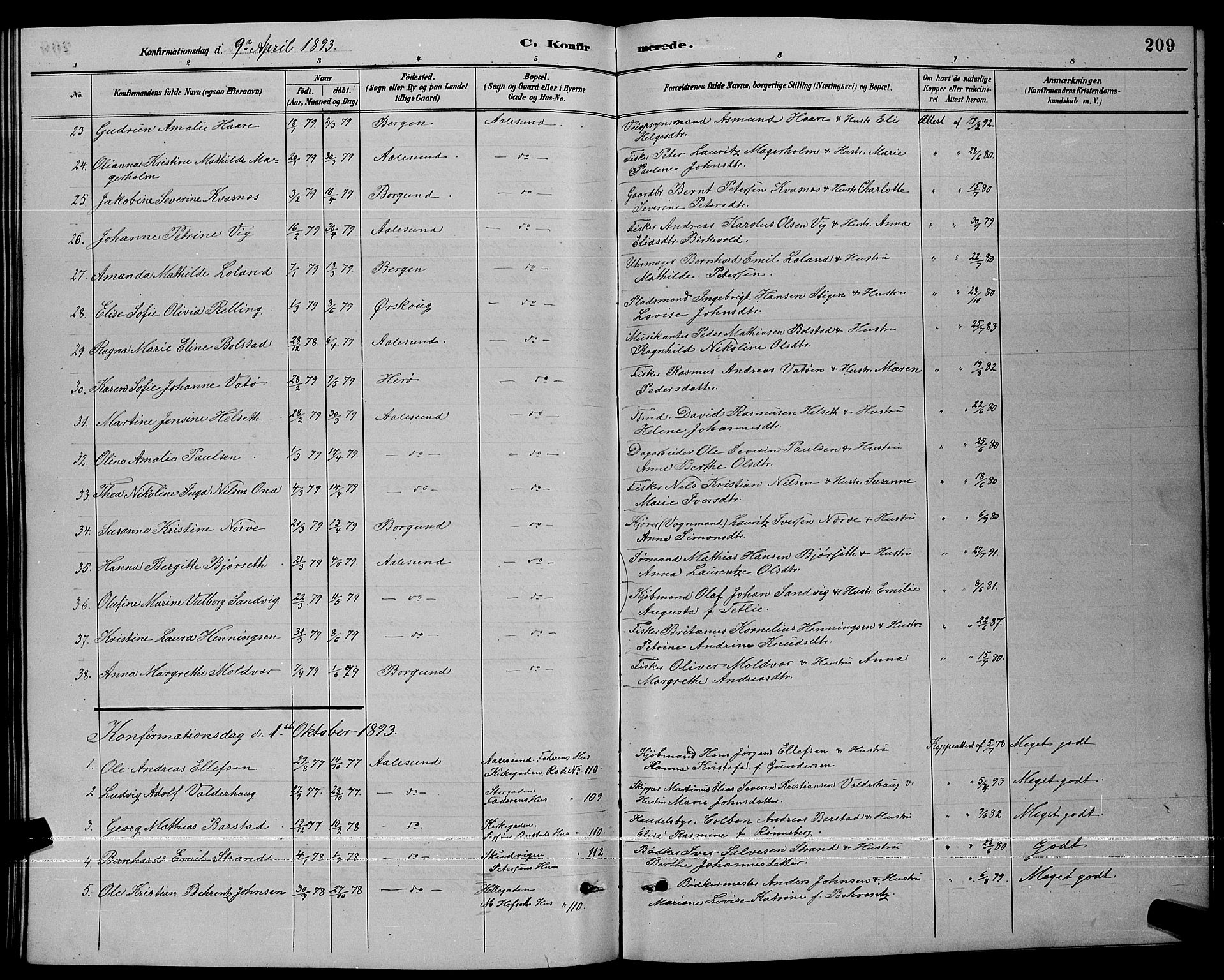 Ministerialprotokoller, klokkerbøker og fødselsregistre - Møre og Romsdal, AV/SAT-A-1454/529/L0467: Parish register (copy) no. 529C04, 1889-1897, p. 209