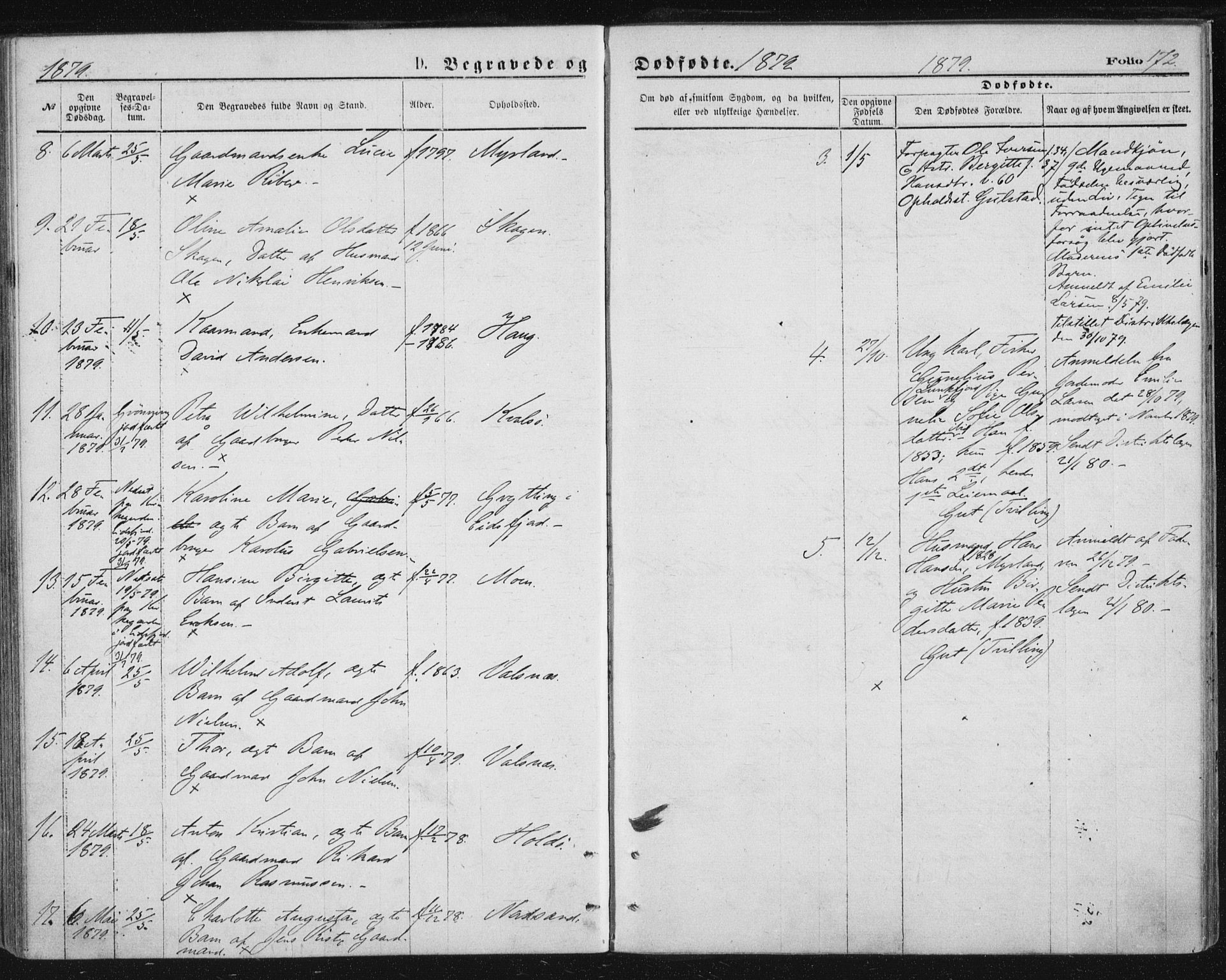 Ministerialprotokoller, klokkerbøker og fødselsregistre - Nordland, SAT/A-1459/888/L1243: Parish register (official) no. 888A09, 1876-1879, p. 172