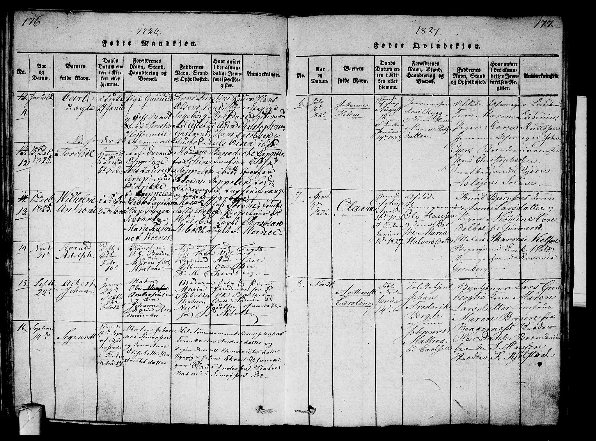 Strømsø kirkebøker, AV/SAKO-A-246/G/Ga/L0001: Parish register (copy) no. 1, 1815-1829, p. 176-177