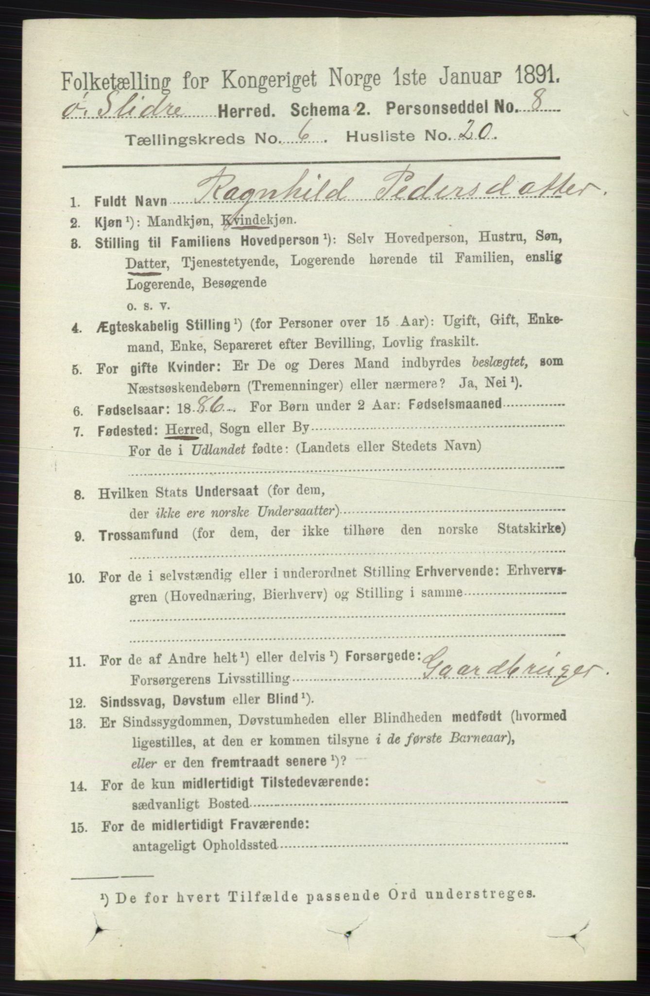 RA, 1891 census for 0544 Øystre Slidre, 1891, p. 1910