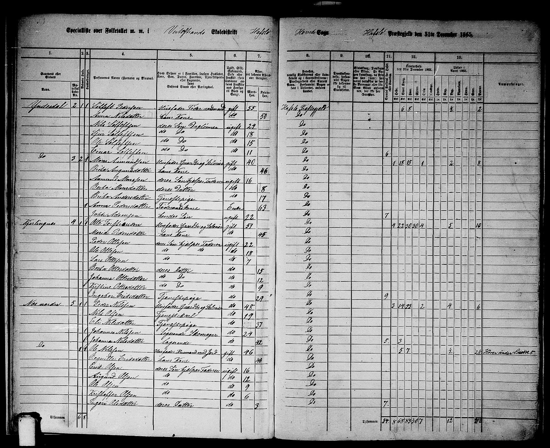 RA, 1865 census for Hafslo, 1865, p. 10