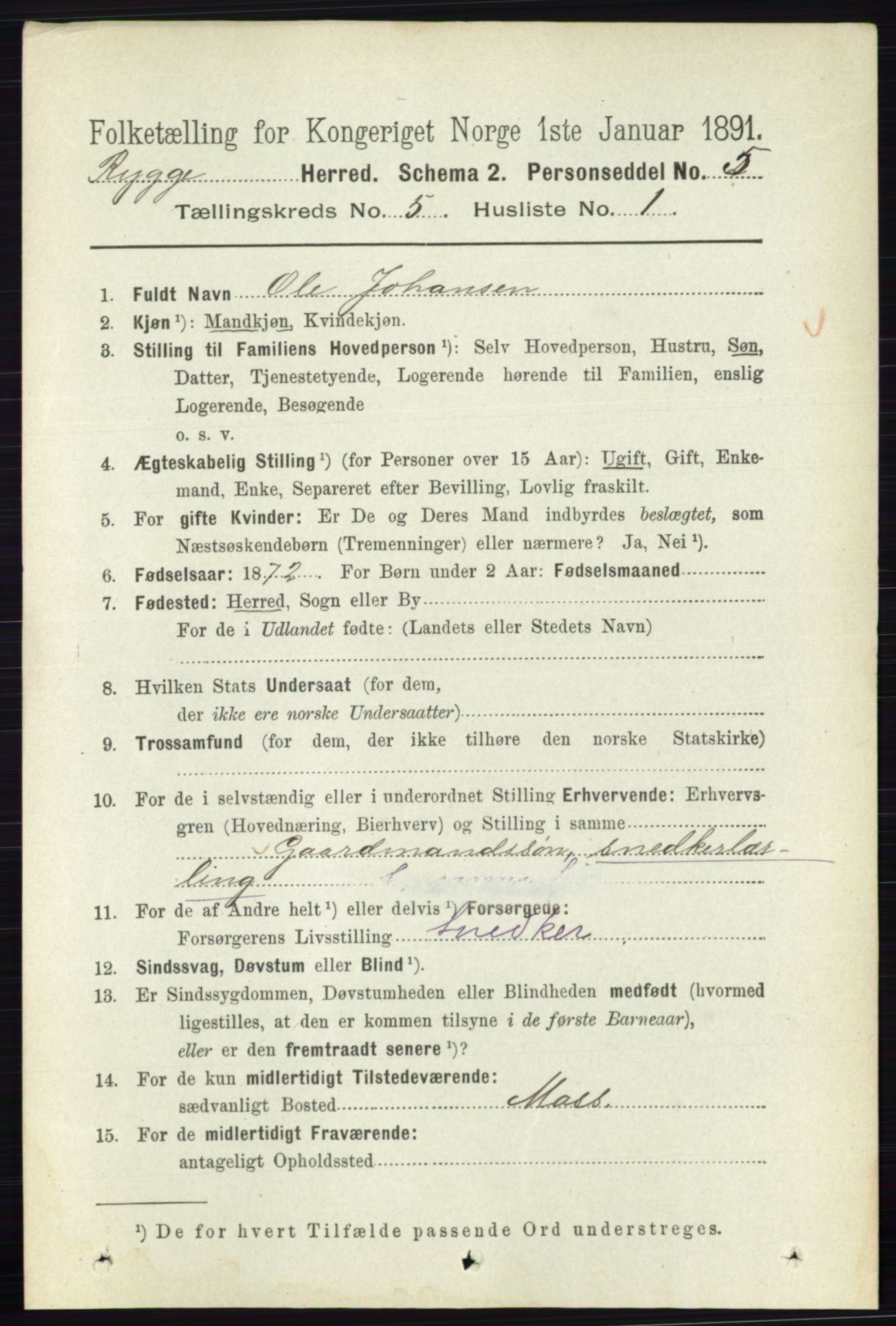 RA, 1891 census for 0136 Rygge, 1891, p. 2836