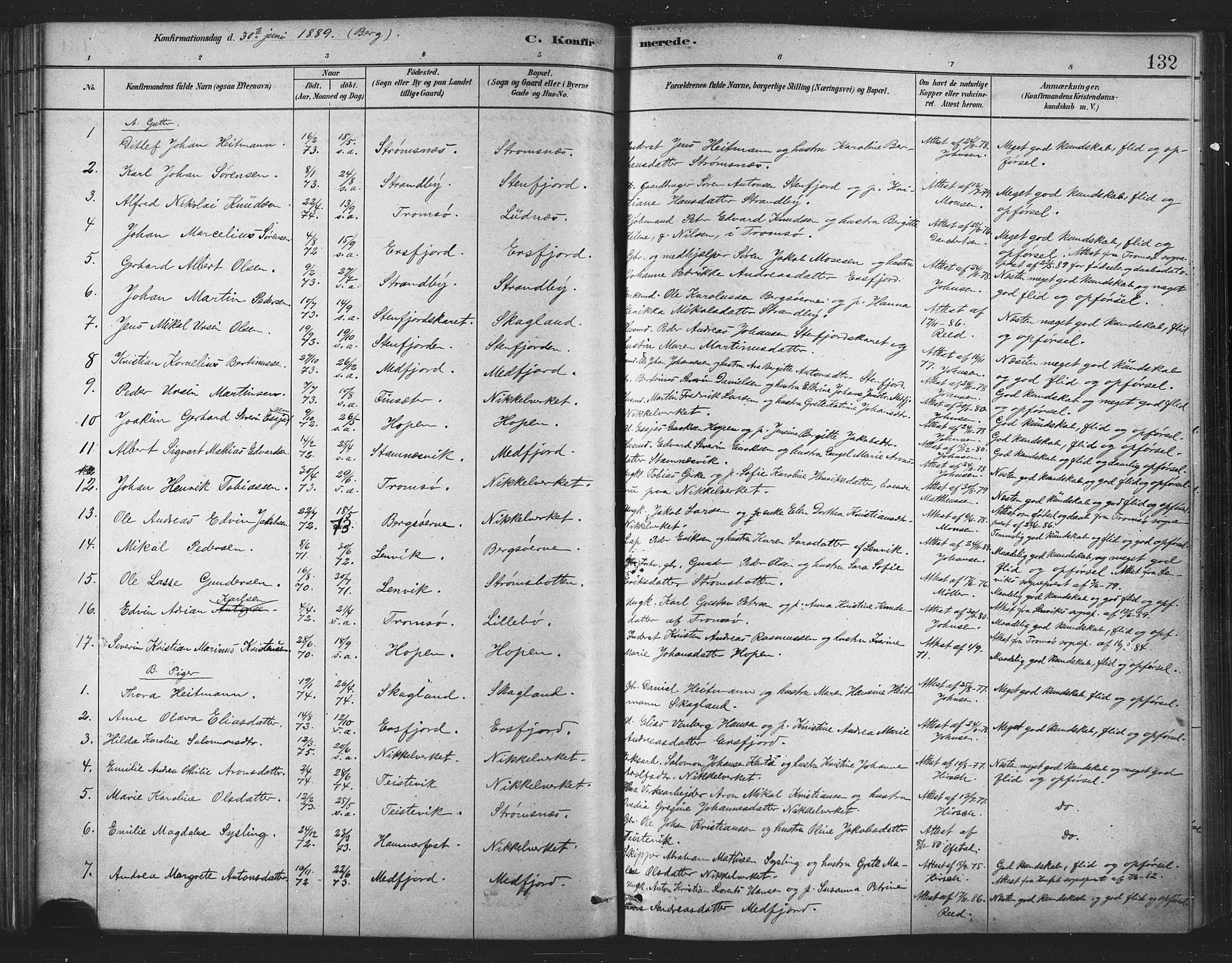 Berg sokneprestkontor, SATØ/S-1318/G/Ga/Gaa/L0004kirke: Parish register (official) no. 4, 1880-1894, p. 132