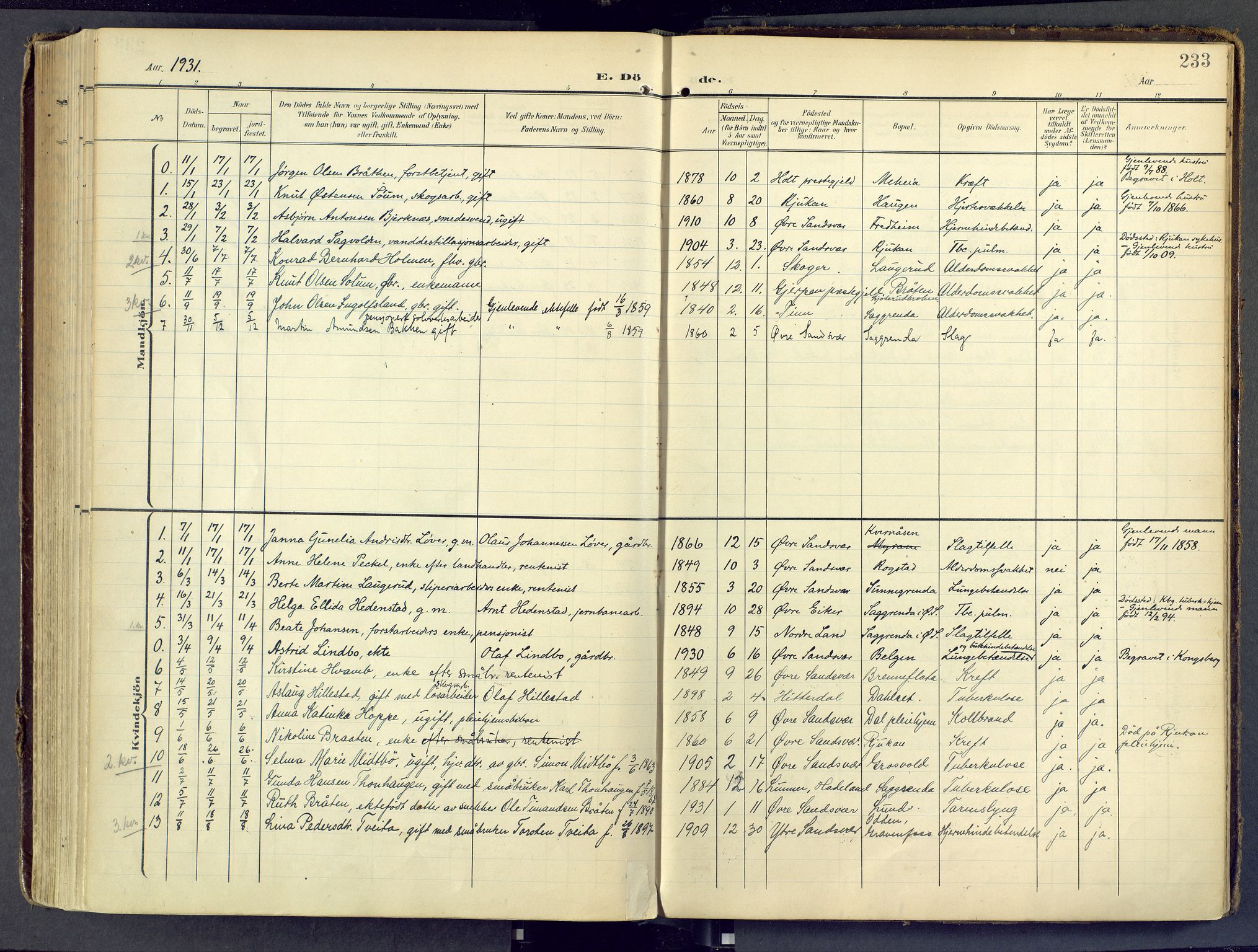 Sandsvær kirkebøker, SAKO/A-244/F/Fd/L0002: Parish register (official) no. IV 2, 1906-1943, p. 233