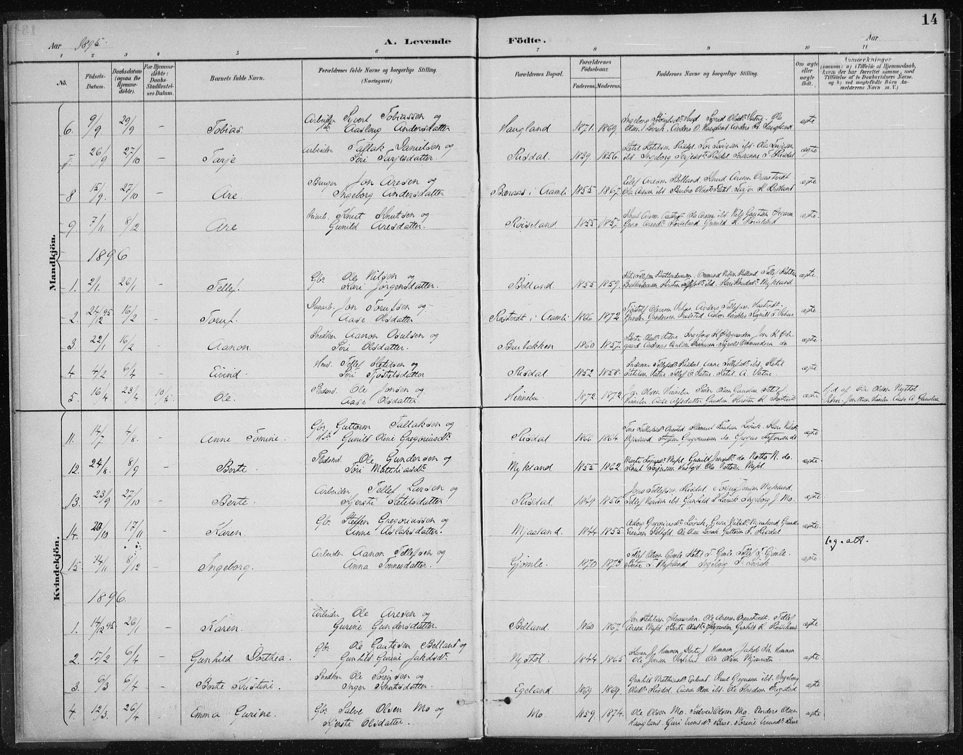 Herefoss sokneprestkontor, SAK/1111-0019/F/Fa/Fac/L0002: Parish register (official) no. A 2, 1887-1915, p. 14