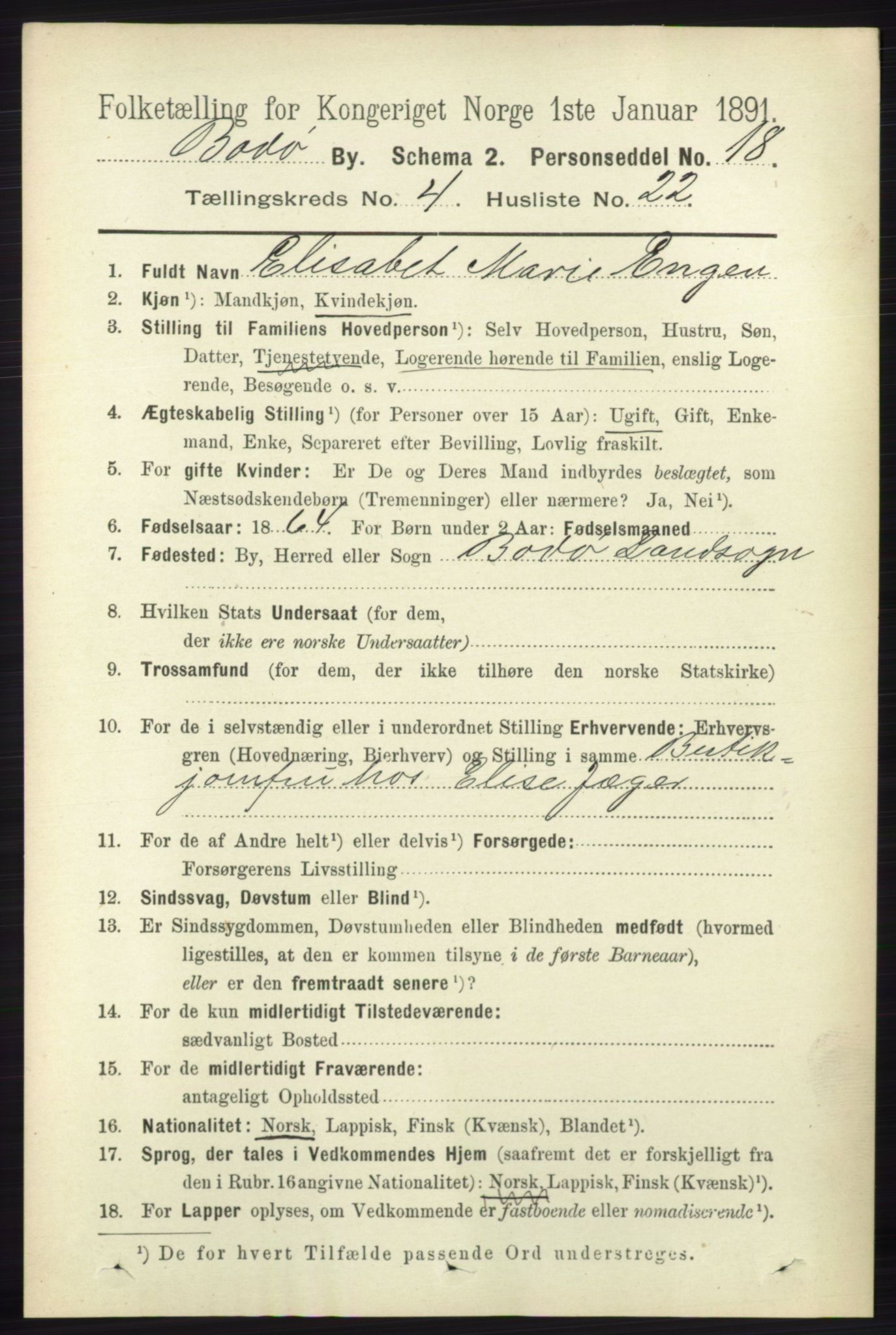 RA, 1891 census for 1804 Bodø, 1891, p. 3249