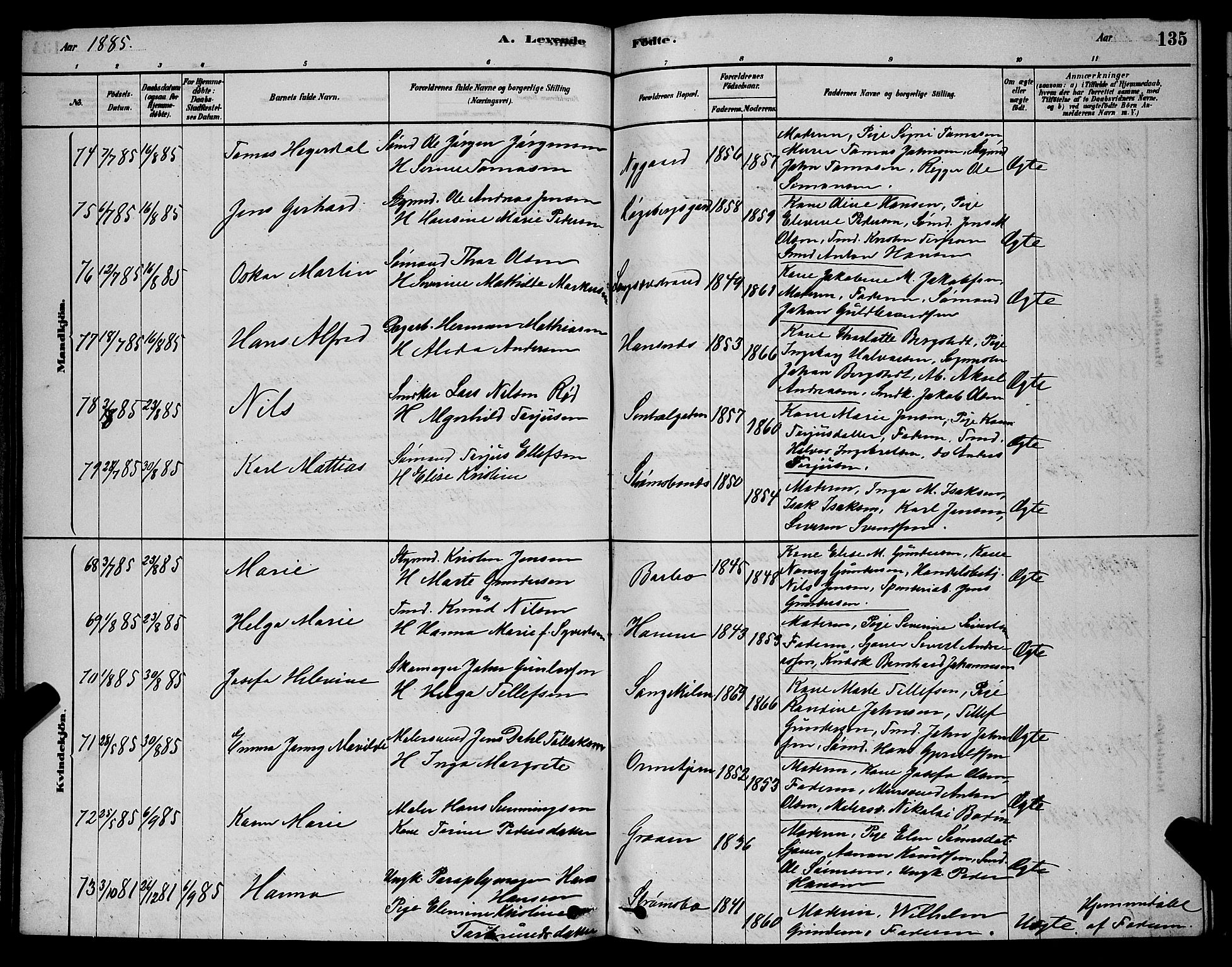 Barbu sokneprestkontor, AV/SAK-1111-0003/F/Fb/L0001: Parish register (copy) no. B 1, 1878-1890, p. 135