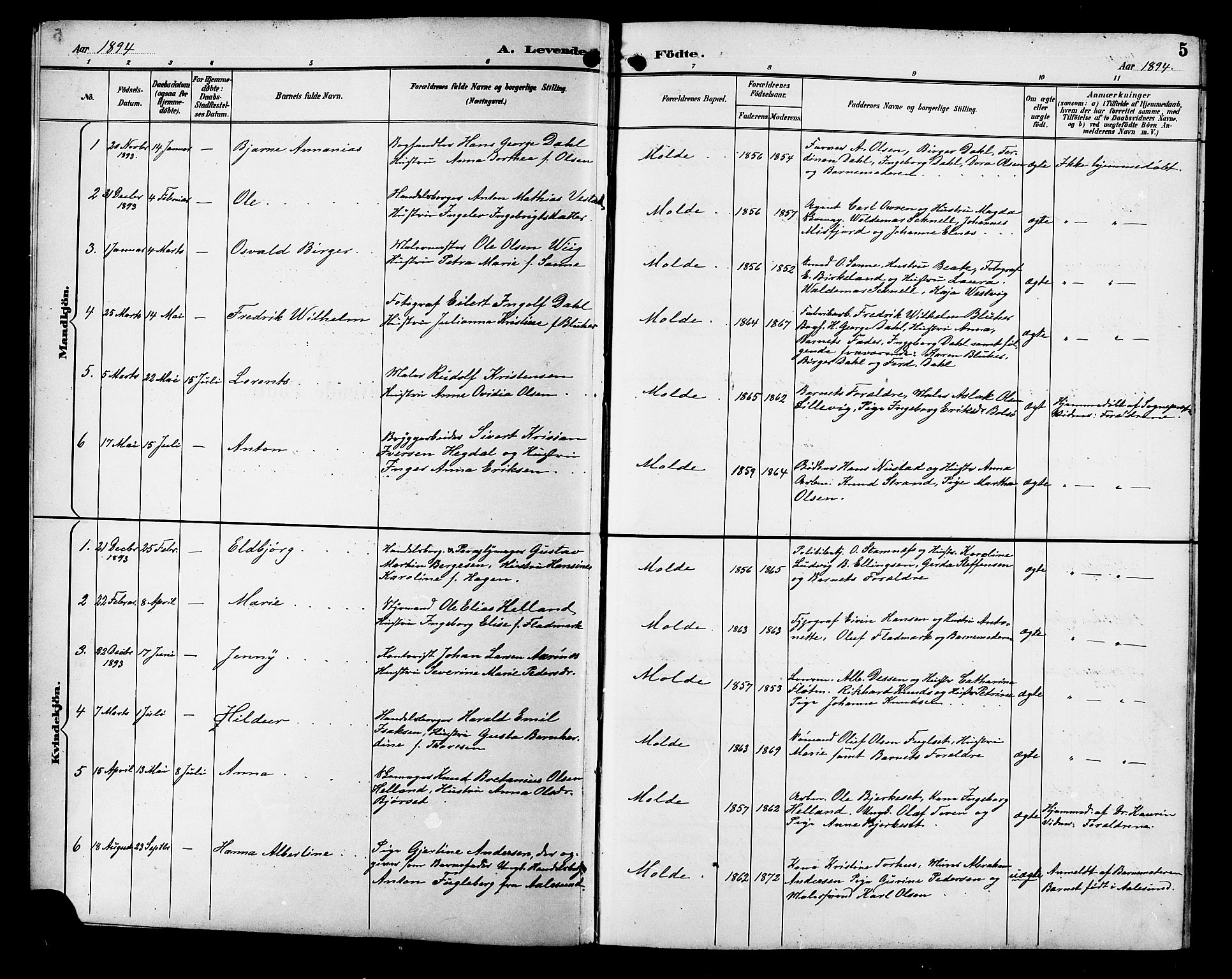 Ministerialprotokoller, klokkerbøker og fødselsregistre - Møre og Romsdal, SAT/A-1454/558/L0702: Parish register (copy) no. 558C03, 1894-1915, p. 5