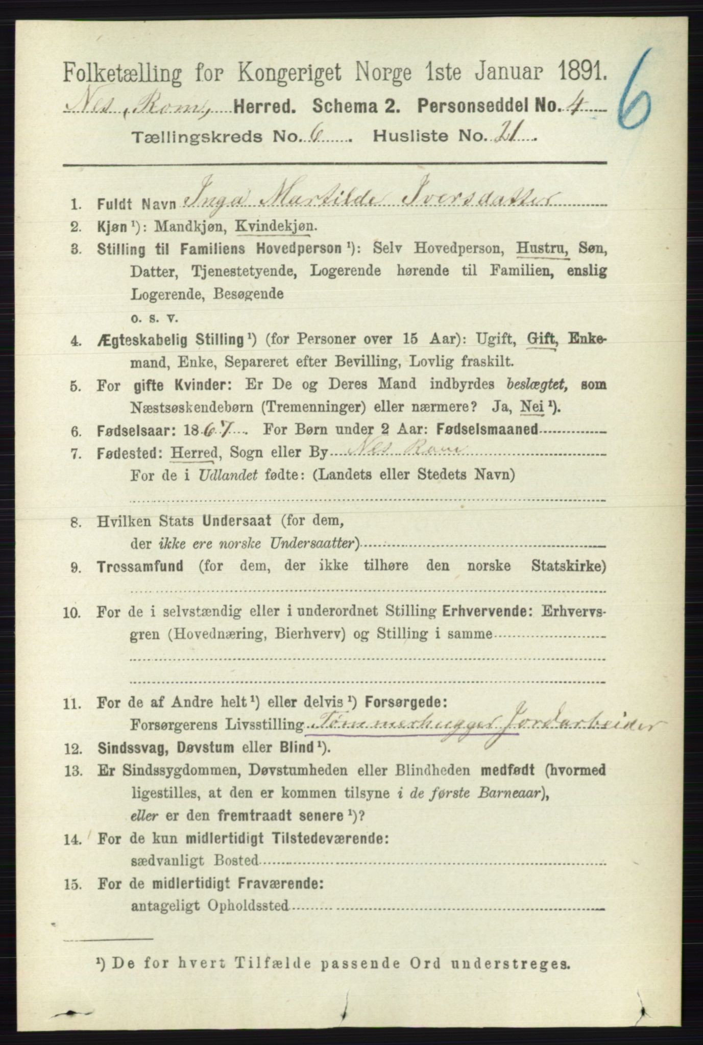 RA, 1891 census for 0236 Nes, 1891, p. 3502