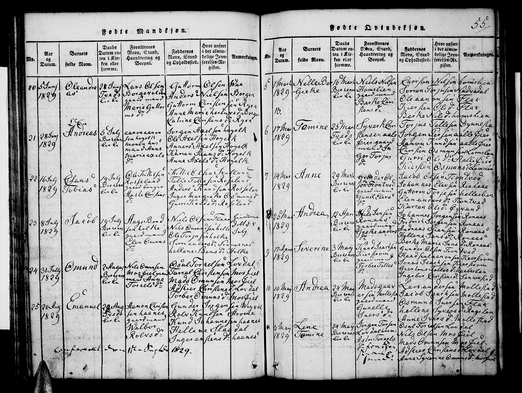 Tveit sokneprestkontor, AV/SAK-1111-0043/F/Fb/L0001: Parish register (copy) no. B 1, 1820-1834, p. 55