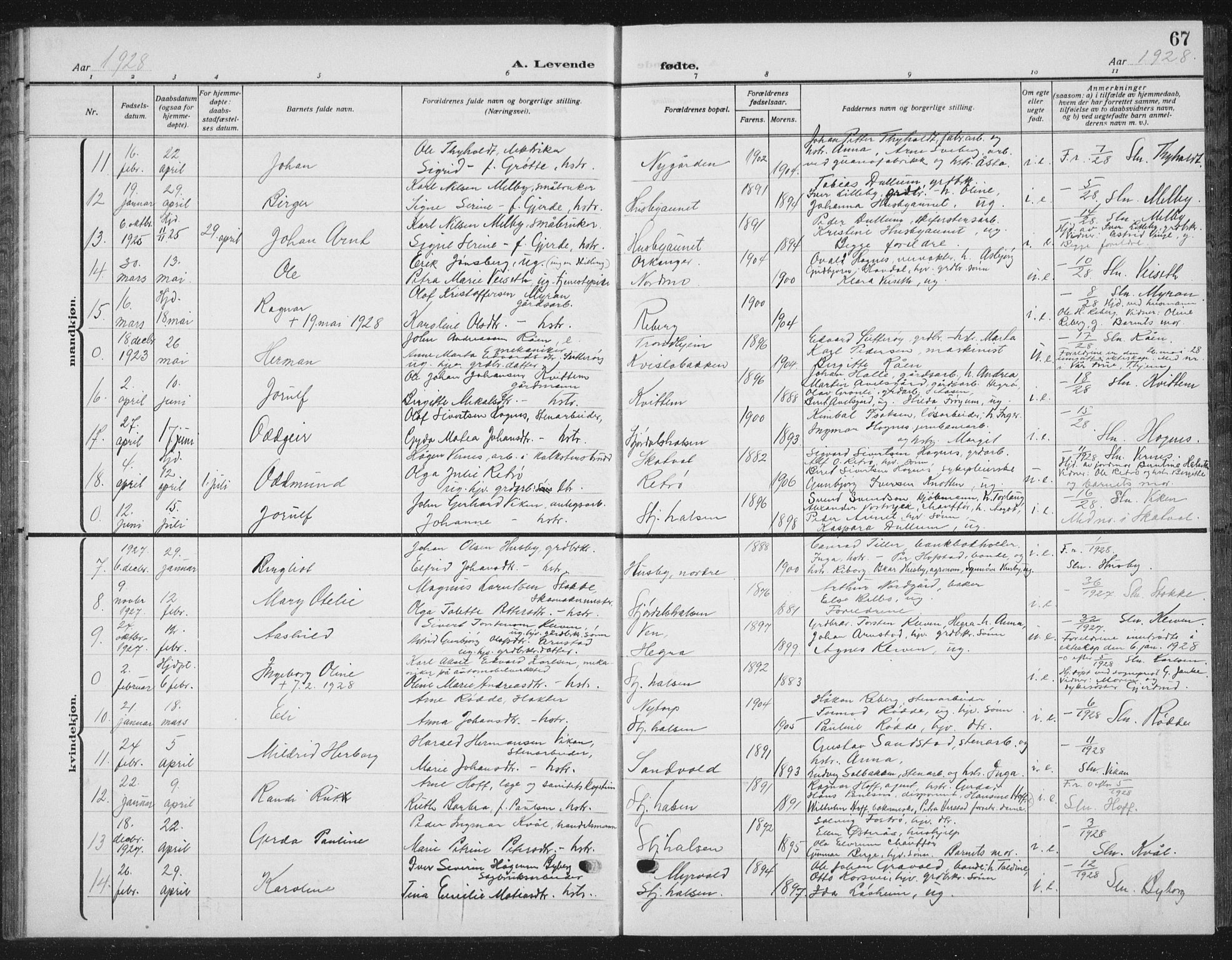 Ministerialprotokoller, klokkerbøker og fødselsregistre - Nord-Trøndelag, SAT/A-1458/709/L0088: Parish register (copy) no. 709C02, 1914-1934, p. 67