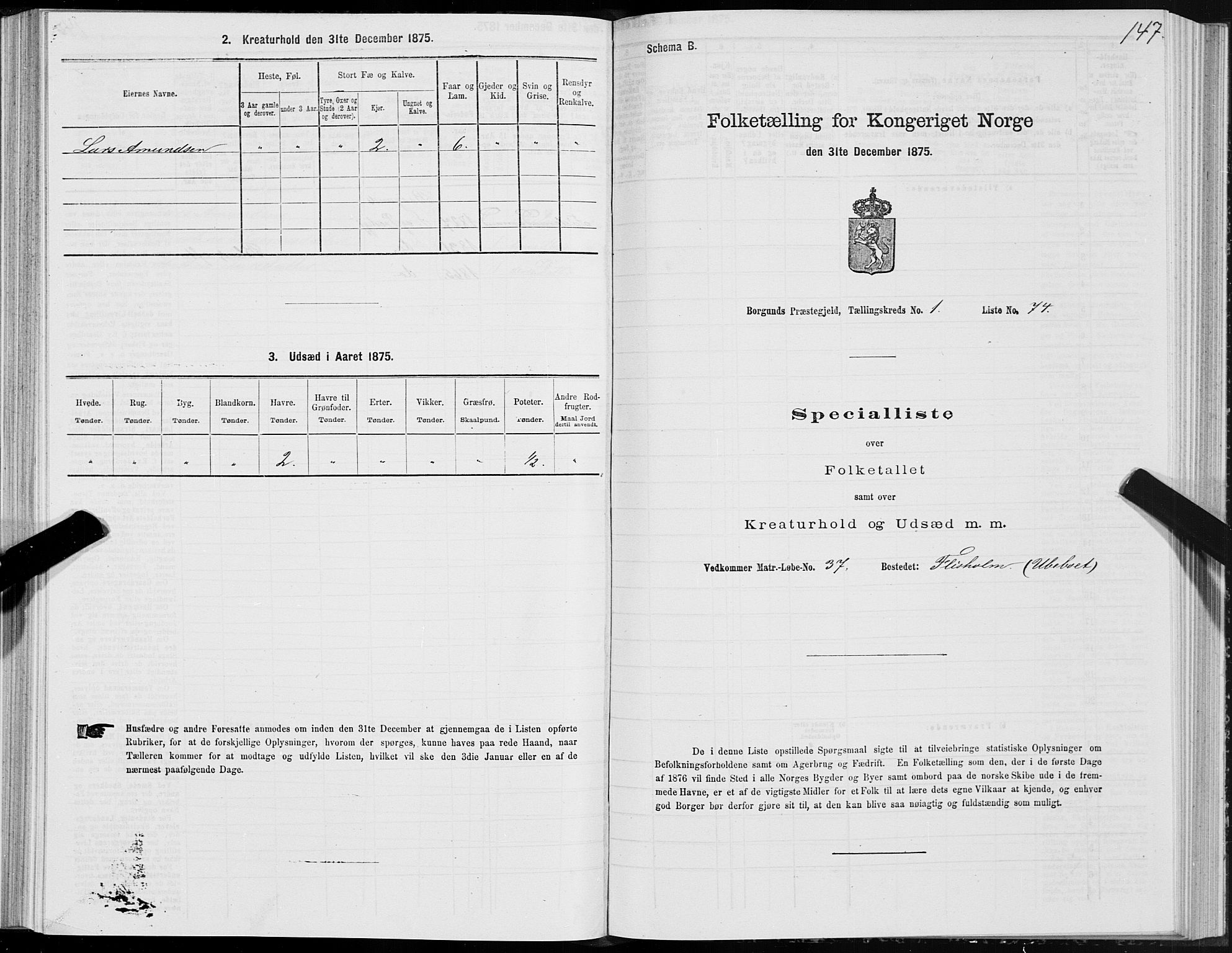 SAT, 1875 census for 1531P Borgund, 1875, p. 1147