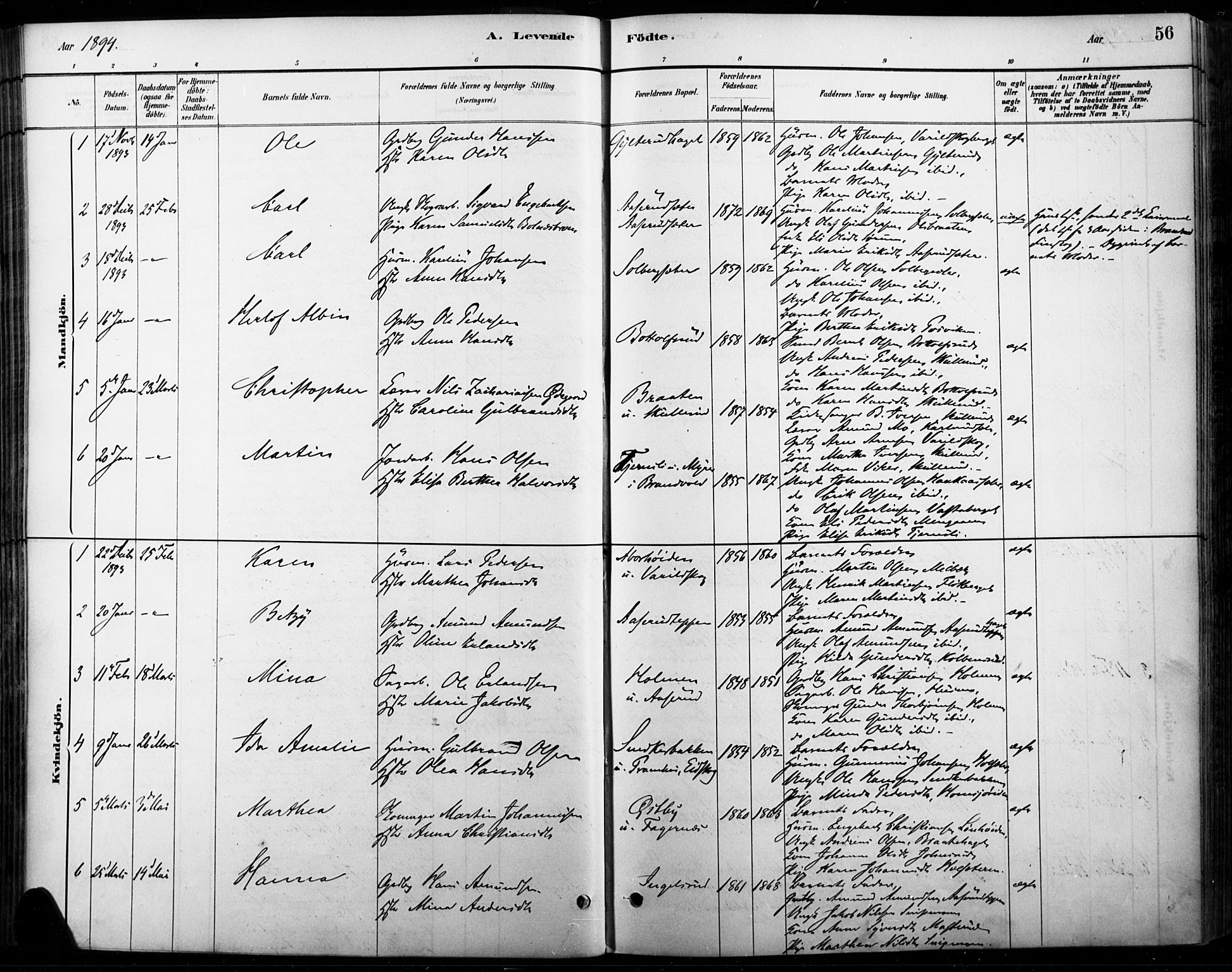 Vinger prestekontor, AV/SAH-PREST-024/H/Ha/Haa/L0015: Parish register (official) no. 15, 1881-1900, p. 56