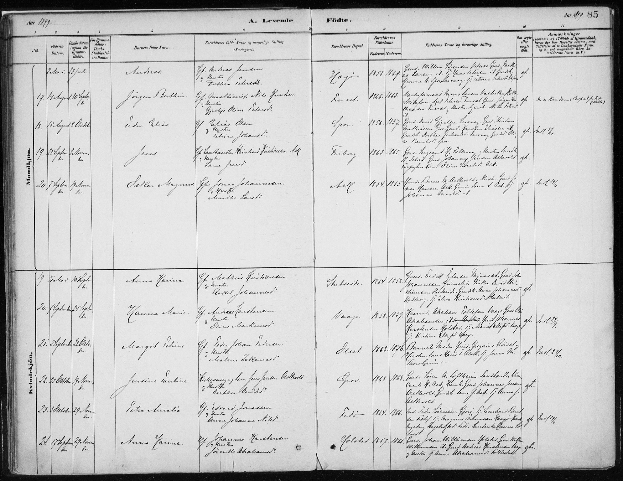 Askvoll sokneprestembete, AV/SAB-A-79501/H/Haa/Haab/L0002: Parish register (official) no. B 2, 1879-1909, p. 85