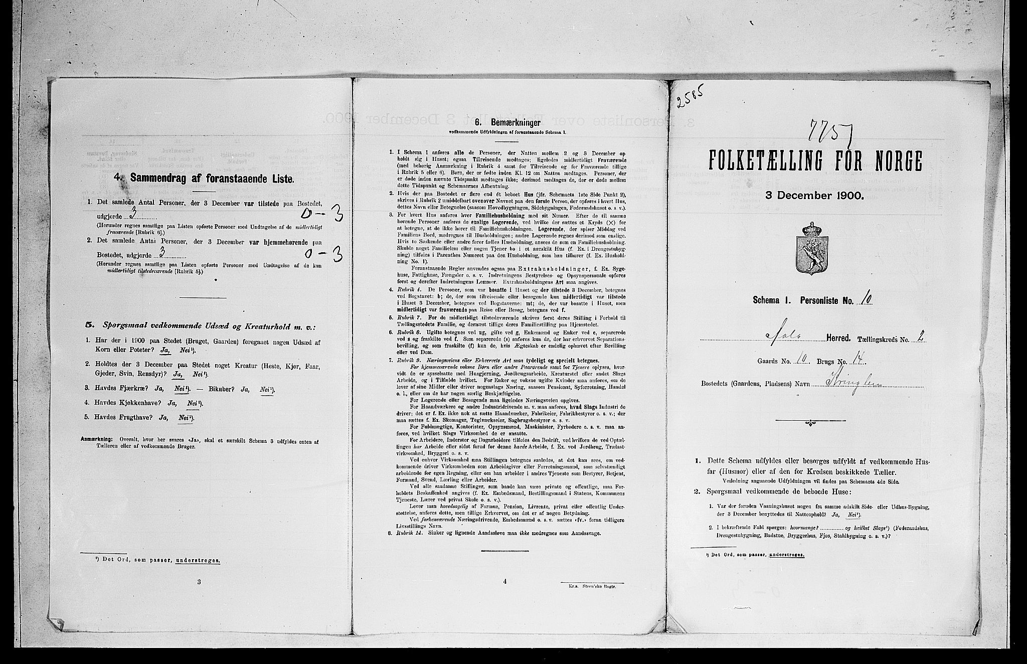 RA, 1900 census for Ål, 1900, p. 49