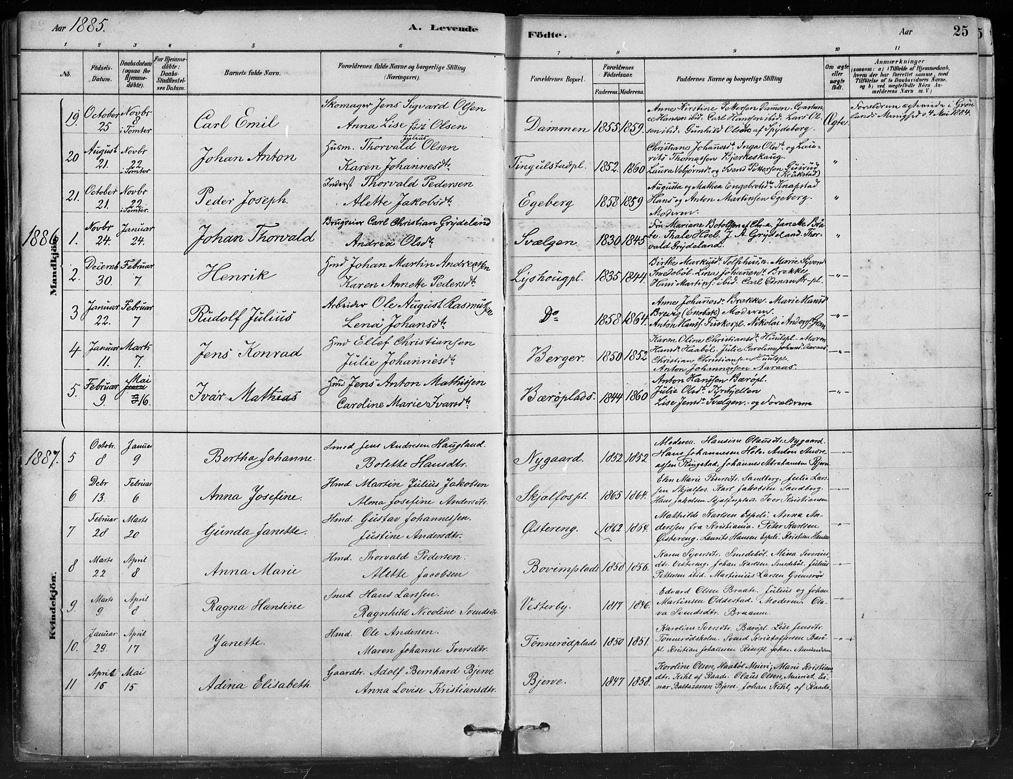 Hobøl prestekontor Kirkebøker, AV/SAO-A-2002/F/Fa/L0005: Parish register (official) no. I 5, 1878-1904, p. 25