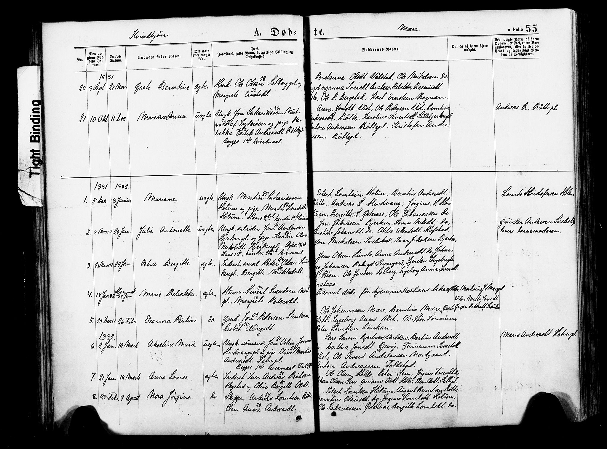 Ministerialprotokoller, klokkerbøker og fødselsregistre - Nord-Trøndelag, SAT/A-1458/735/L0348: Parish register (official) no. 735A09 /1, 1873-1883, p. 55