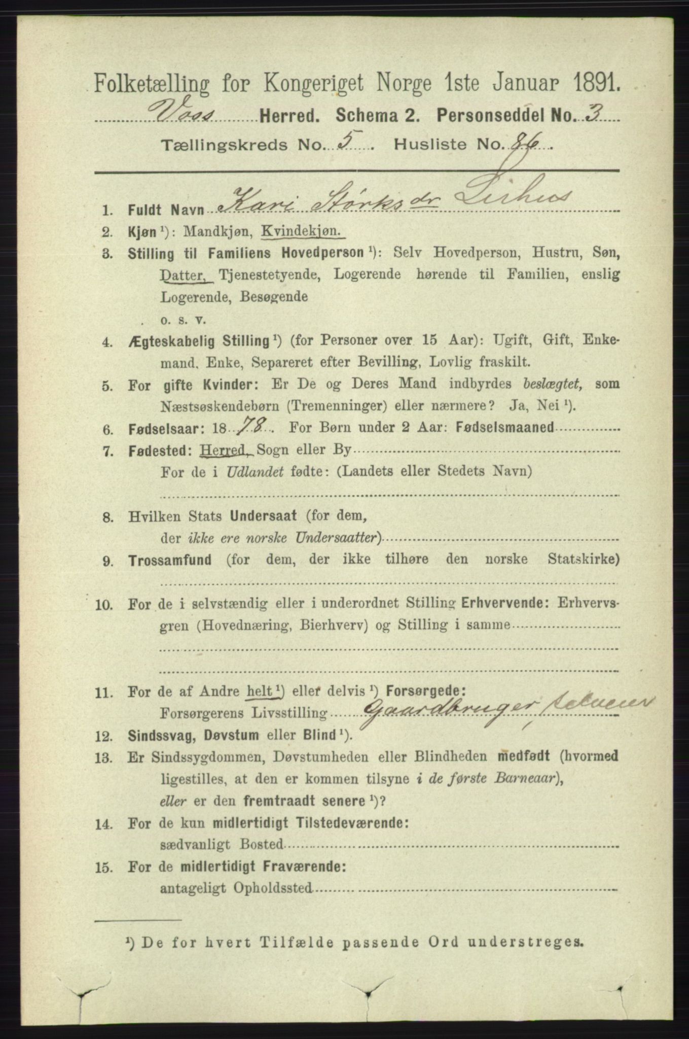 RA, 1891 census for 1235 Voss, 1891, p. 3198