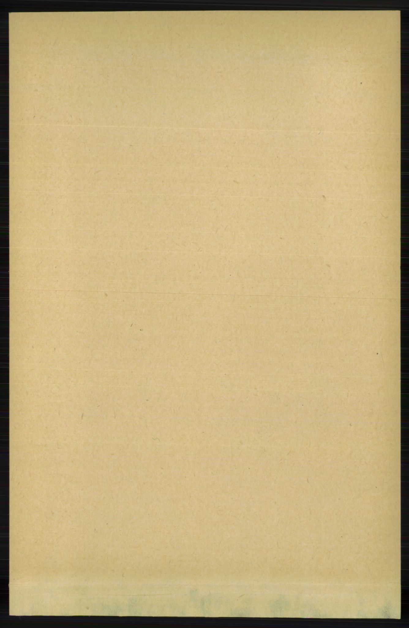 RA, 1891 census for 1129 Forsand, 1891, p. 528