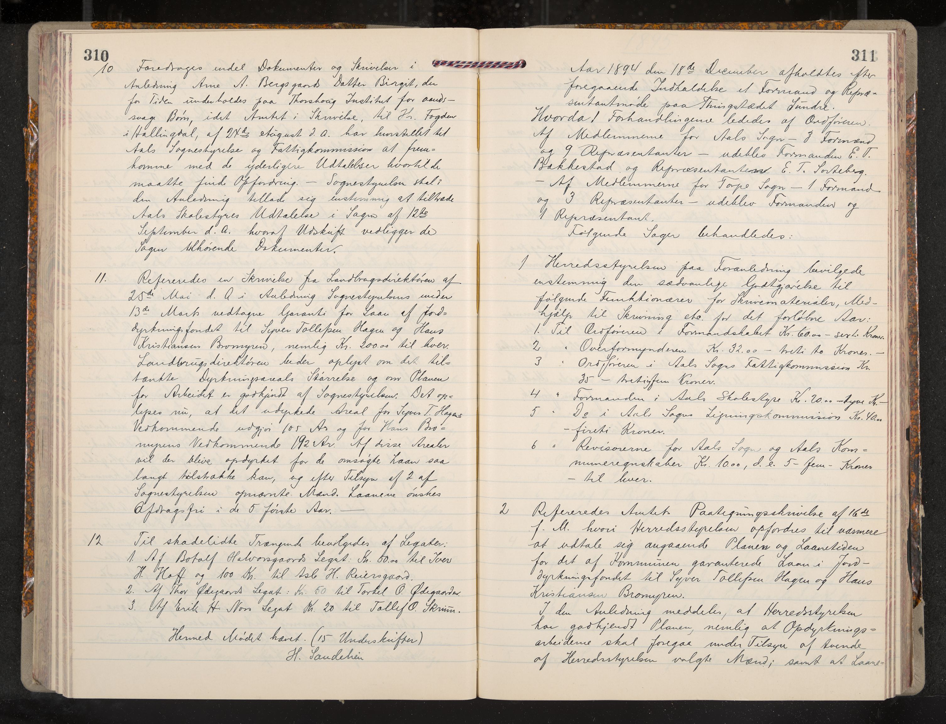 Ål formannskap og sentraladministrasjon, IKAK/0619021/A/Aa/L0004: Utskrift av møtebok, 1881-1901, p. 310-311