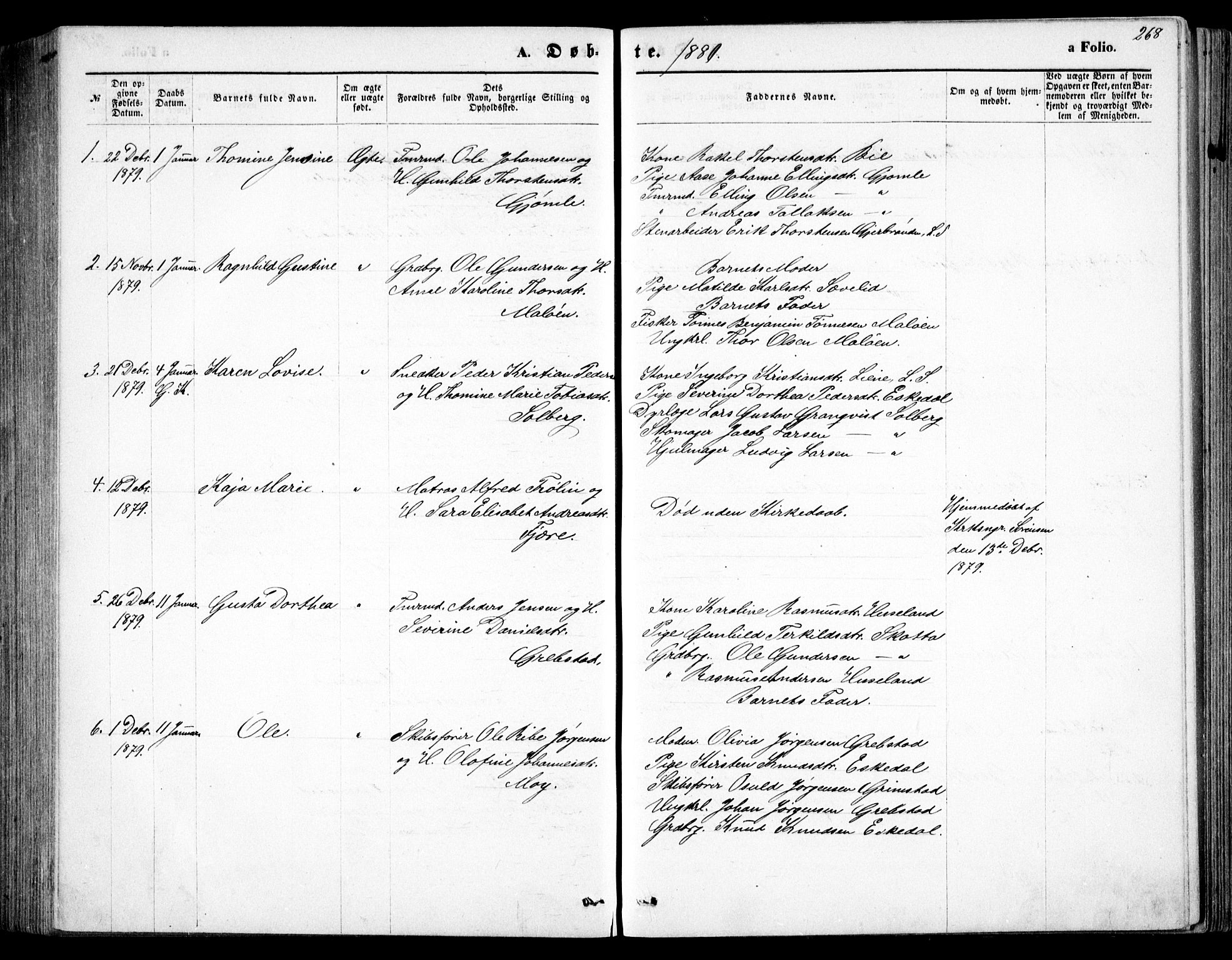 Fjære sokneprestkontor, SAK/1111-0011/F/Fb/L0010: Parish register (copy) no. B 10, 1871-1880, p. 268