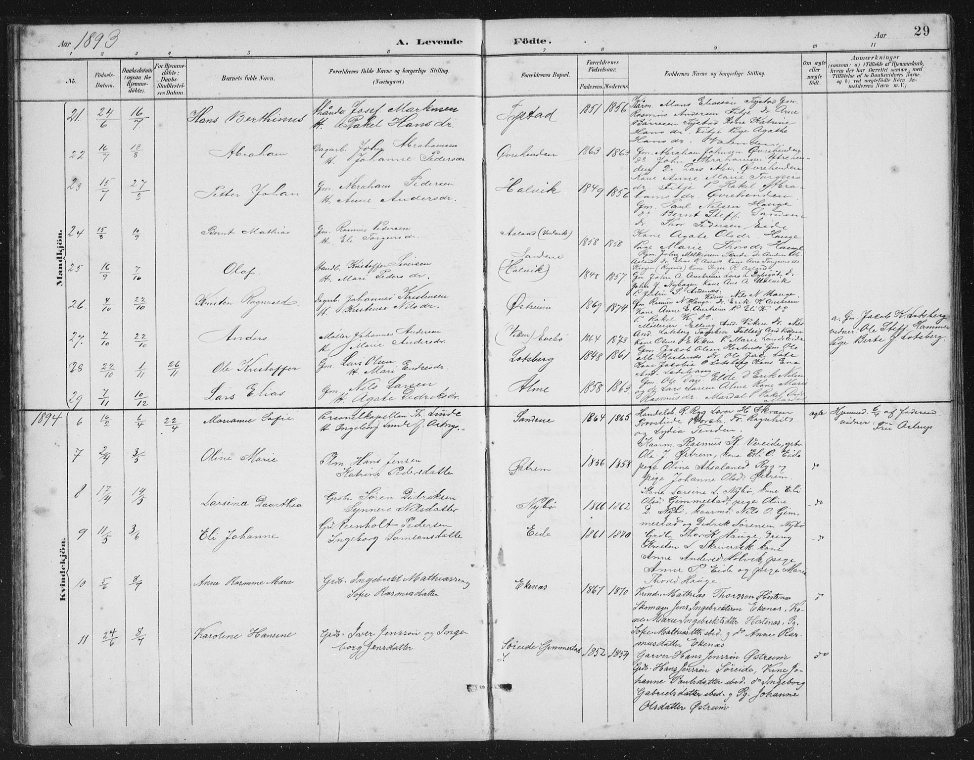 Gloppen sokneprestembete, SAB/A-80101/H/Hab/Habb/L0002: Parish register (copy) no. B 2, 1889-1909, p. 29