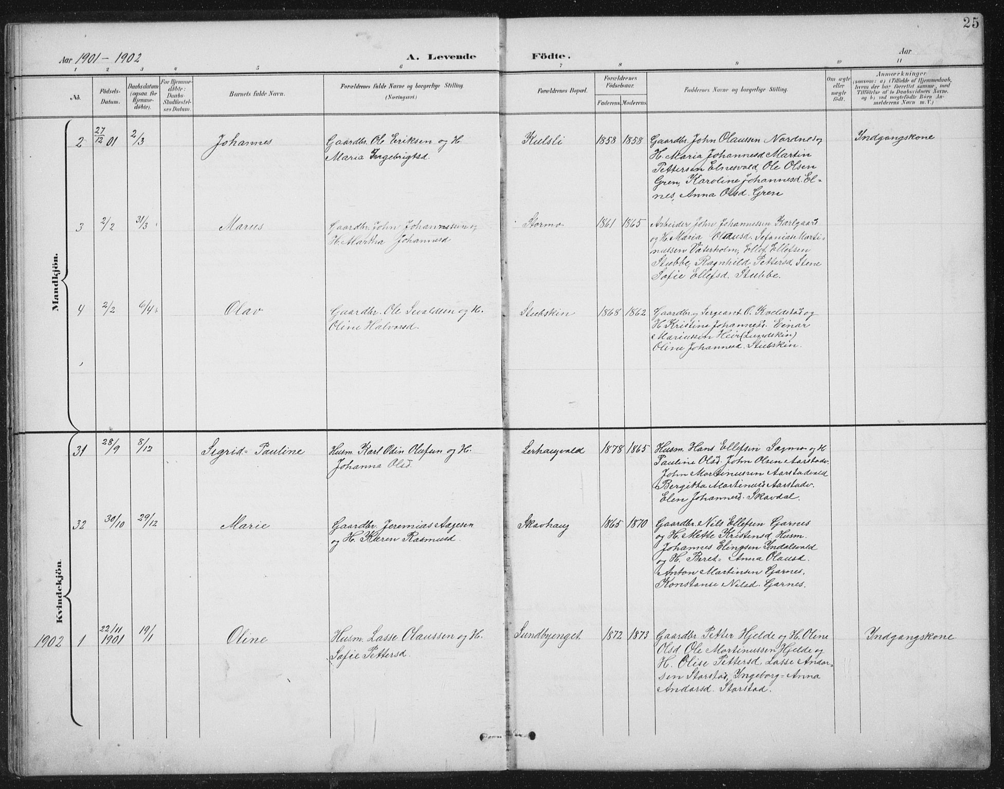 Ministerialprotokoller, klokkerbøker og fødselsregistre - Nord-Trøndelag, SAT/A-1458/724/L0269: Parish register (copy) no. 724C05, 1899-1920, p. 25