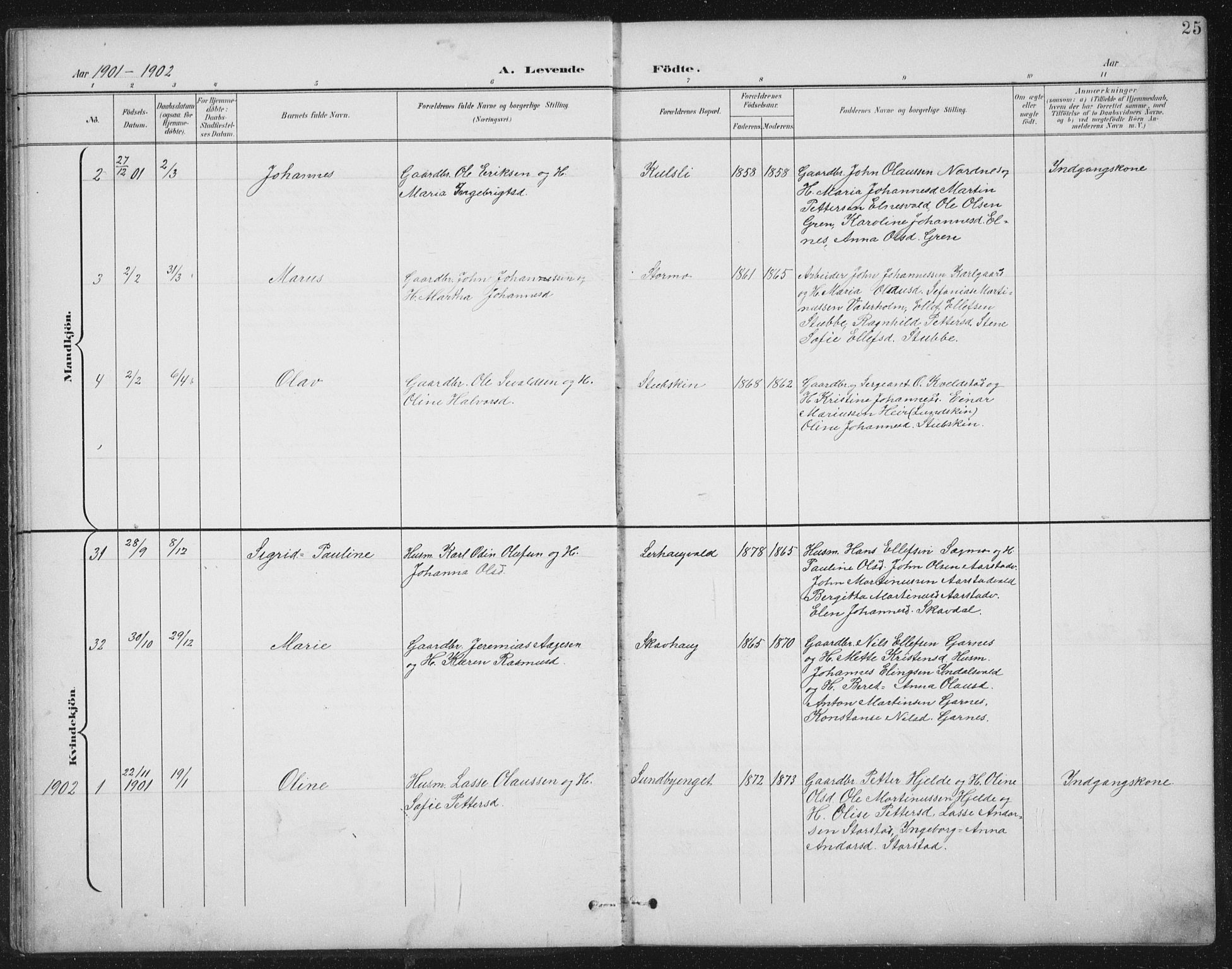 Ministerialprotokoller, klokkerbøker og fødselsregistre - Nord-Trøndelag, AV/SAT-A-1458/724/L0269: Parish register (copy) no. 724C05, 1899-1920, p. 25