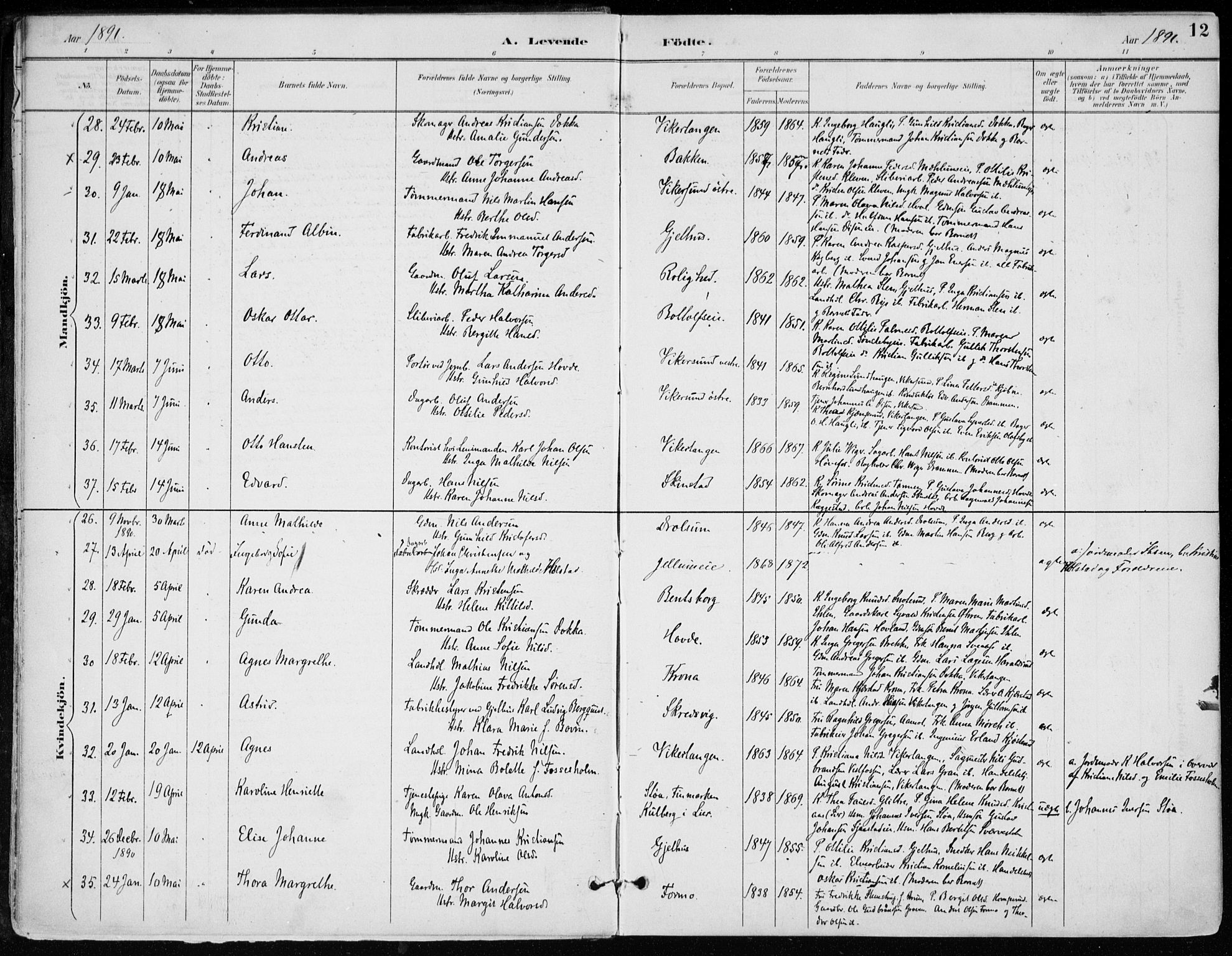 Modum kirkebøker, SAKO/A-234/F/Fa/L0012: Parish register (official) no. 12, 1890-1898, p. 12