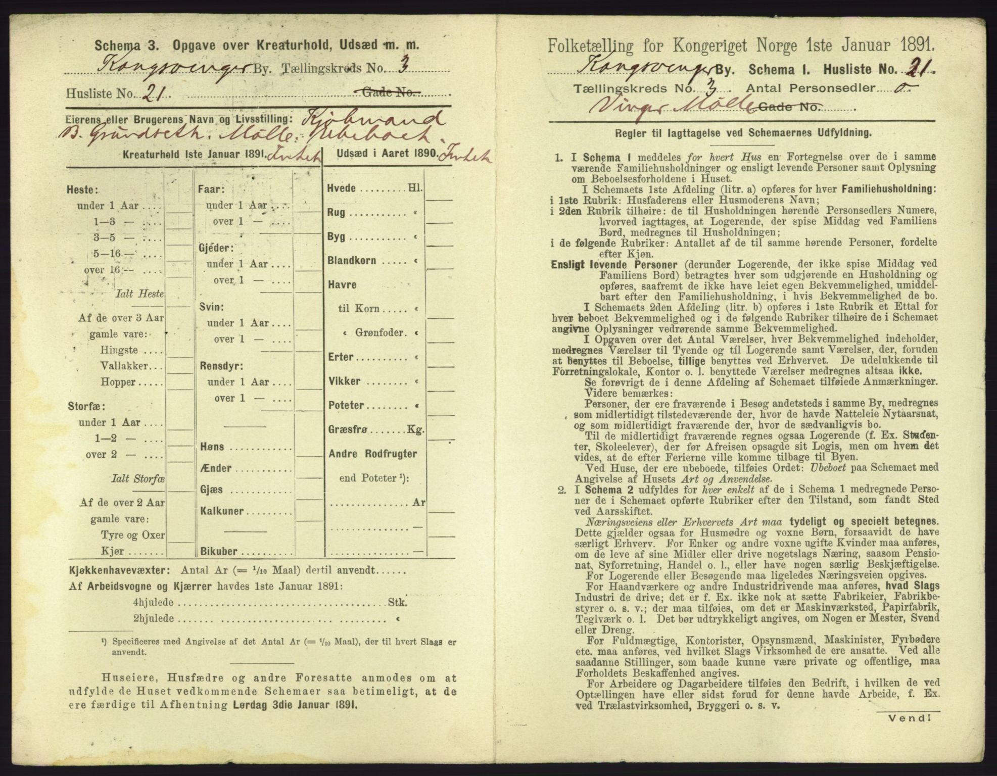 RA, 1891 census for 0402 Kongsvinger, 1891, p. 243