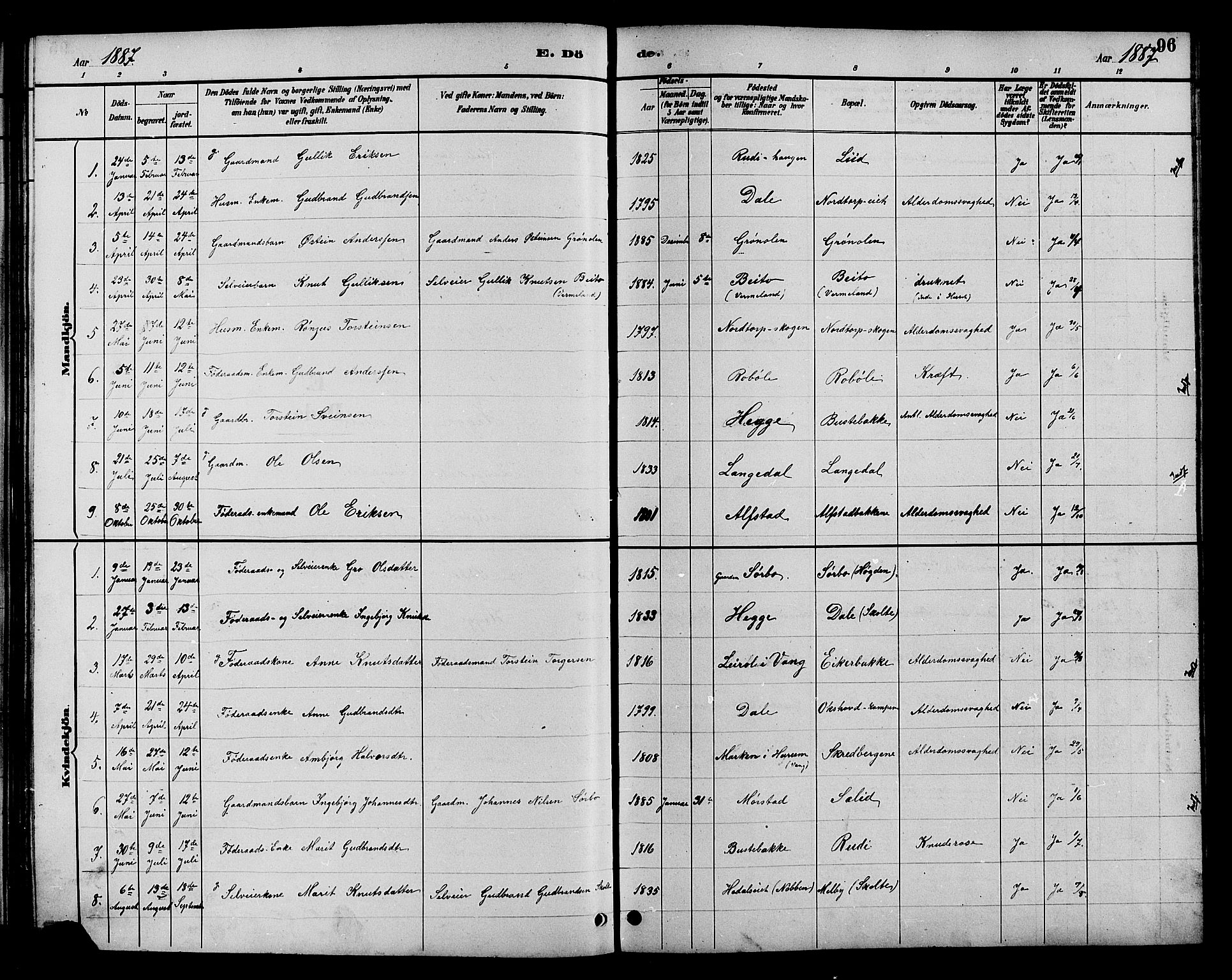 Øystre Slidre prestekontor, AV/SAH-PREST-138/H/Ha/Hab/L0004: Parish register (copy) no. 4, 1887-1907, p. 96