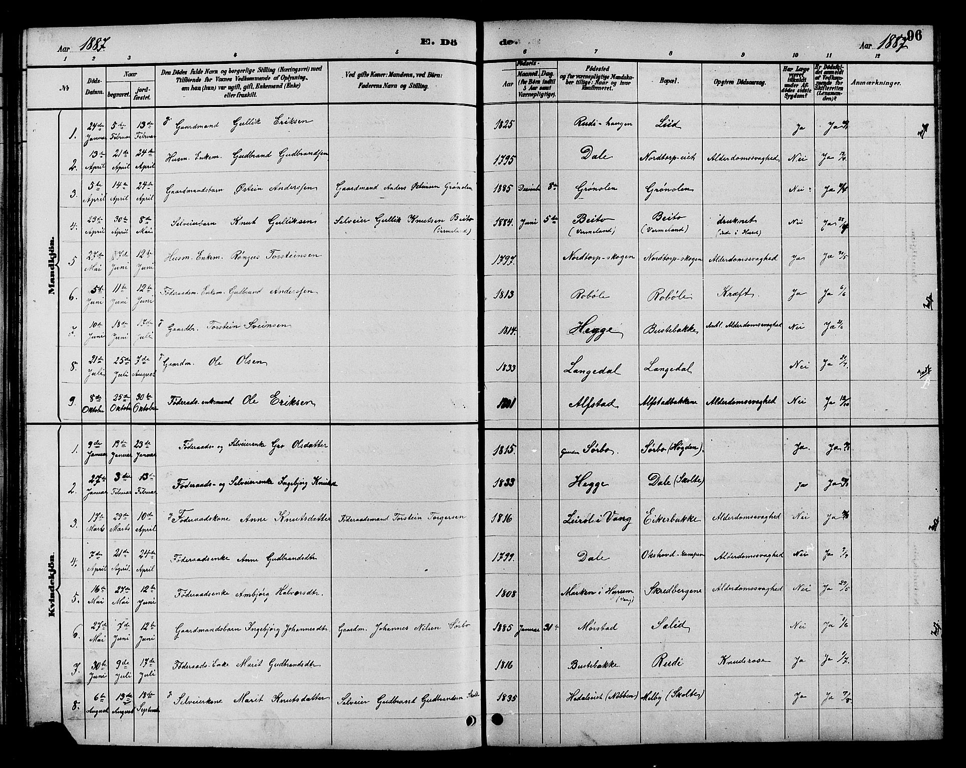 Øystre Slidre prestekontor, AV/SAH-PREST-138/H/Ha/Hab/L0004: Parish register (copy) no. 4, 1887-1907, p. 96