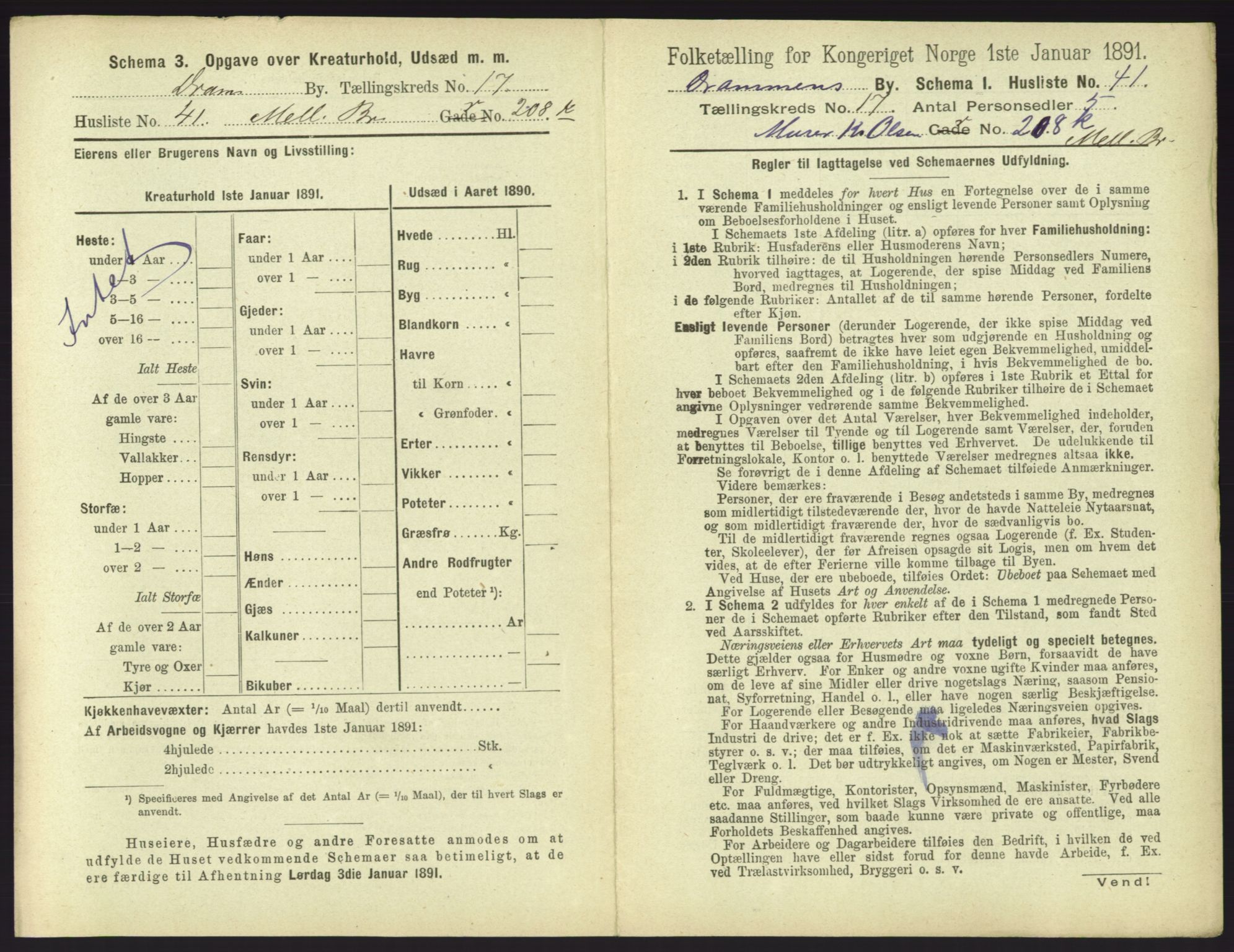 RA, 1891 census for 0602 Drammen, 1891, p. 1481